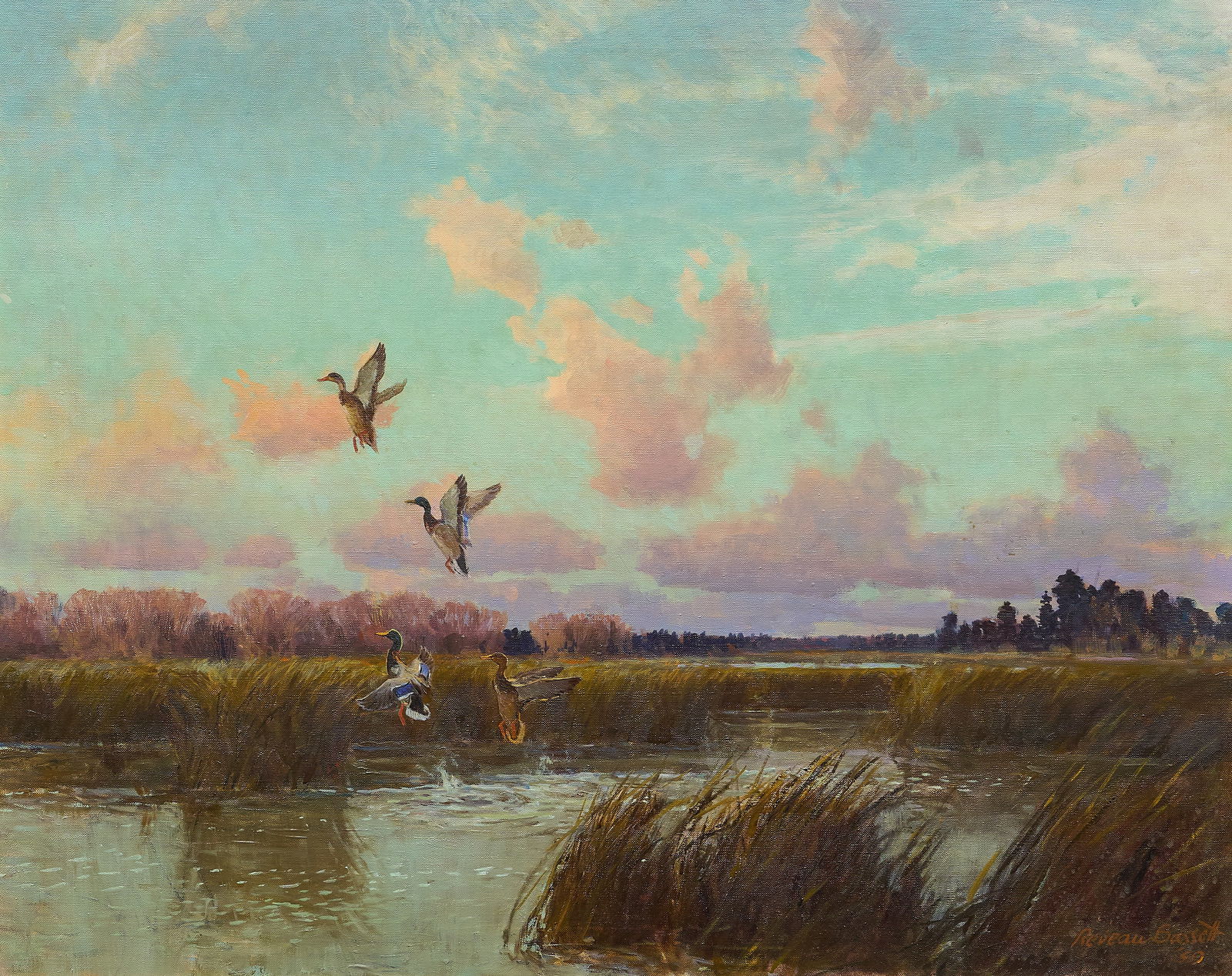 Reveau Bassett, Mallards Lifting Off, 1959: Reveau Mott Bassett (Texas / New York, 1897-1981), mallards lifting off of lake, oil on canvas, signed and dated lower right, 1959sight: 24 x 30 in., frame: 33 x 38.5 in.Provenance: