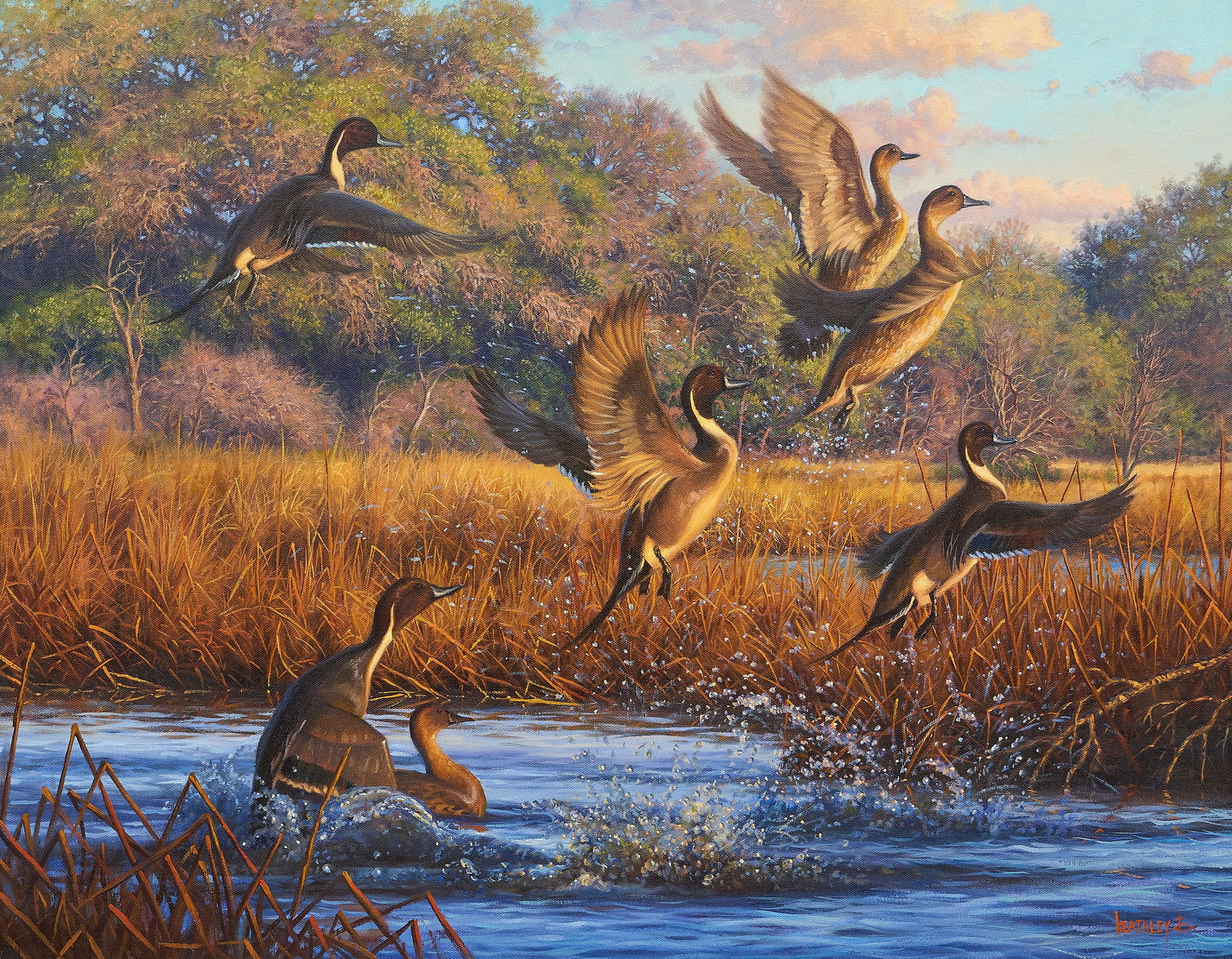 Mark Keathley, Ducks Taking Flight