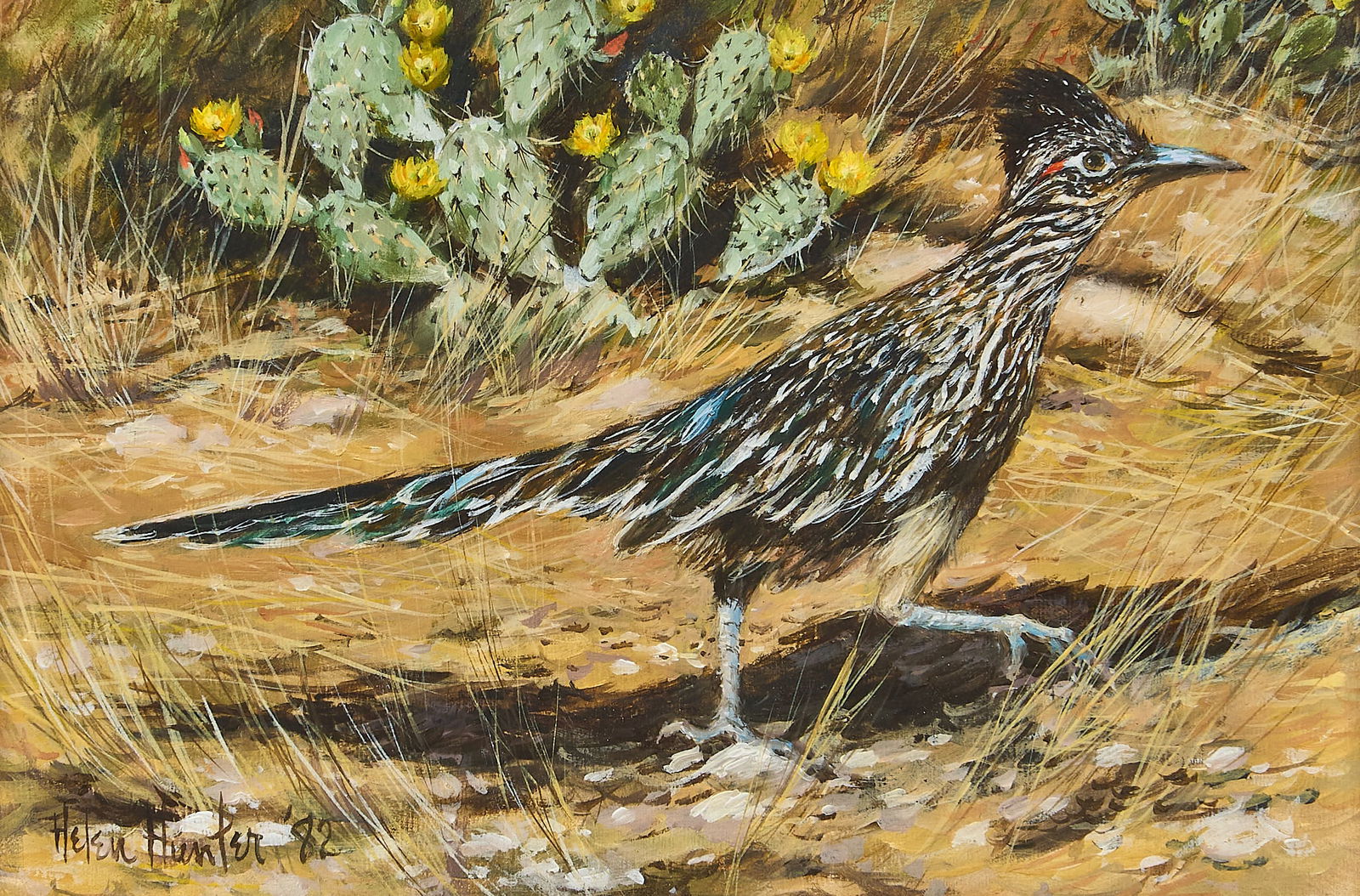 Helen Hunter, Roadrunner and Cactus, 1982 (1 of 4)