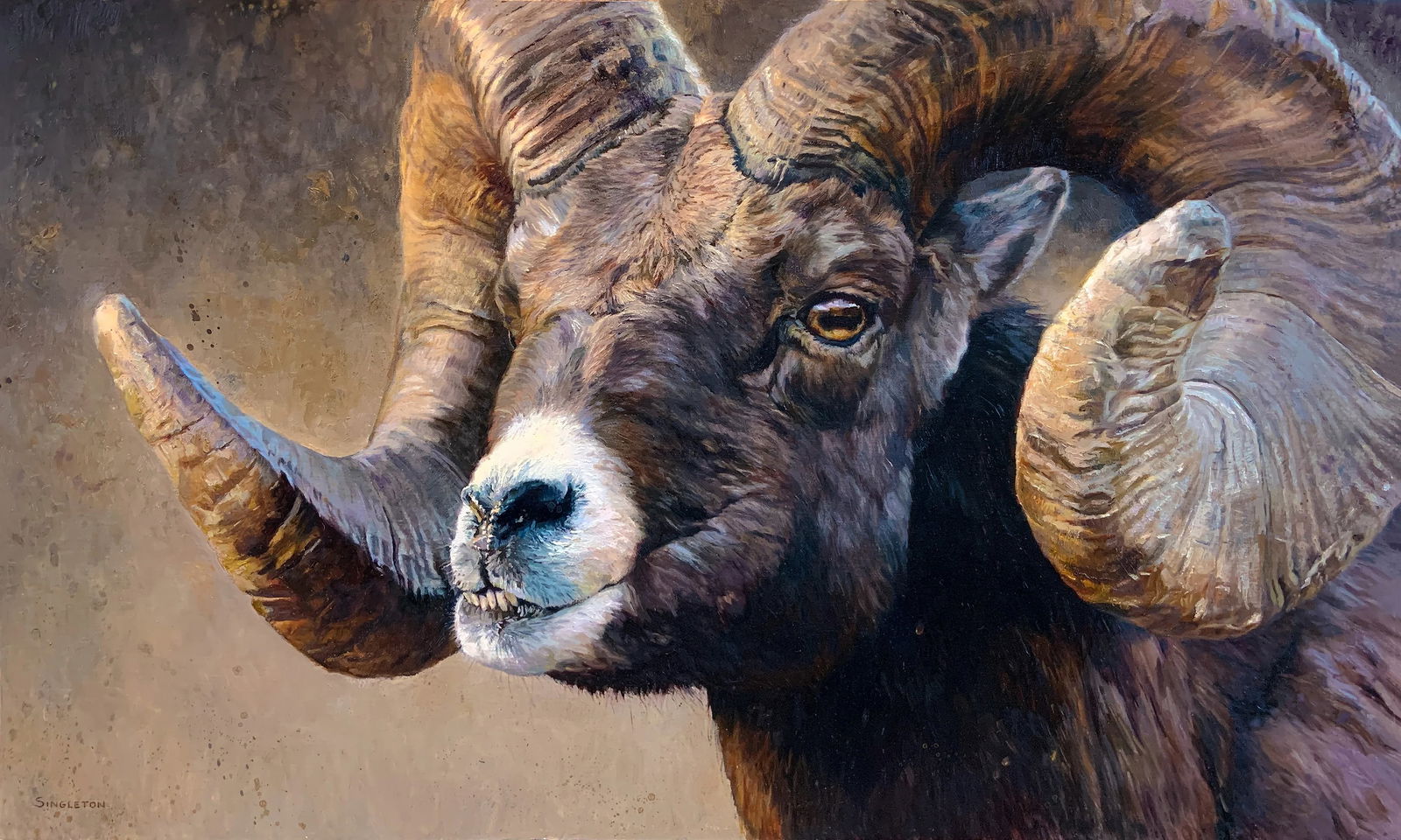 Kelly Singleton, "T.N.T. I'm Dynamite": Kelly Singleton, "T.N.T. I'm Dynamite", oil on linen 18 x 30 in.; Framed Dimensions: 22 x 34 in. A powerful portrait of a bighorn sheep, beautifully rendered and certain to