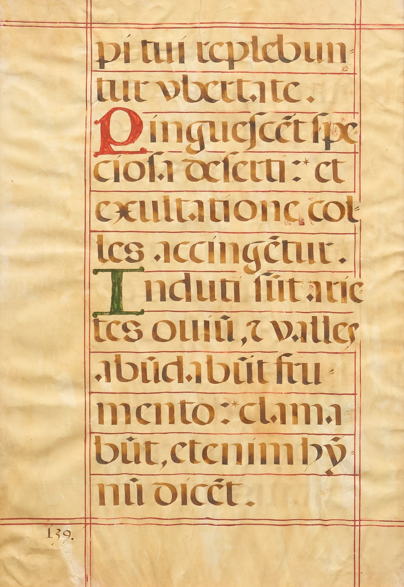 Early Vellum Manuscript (1 of 3)