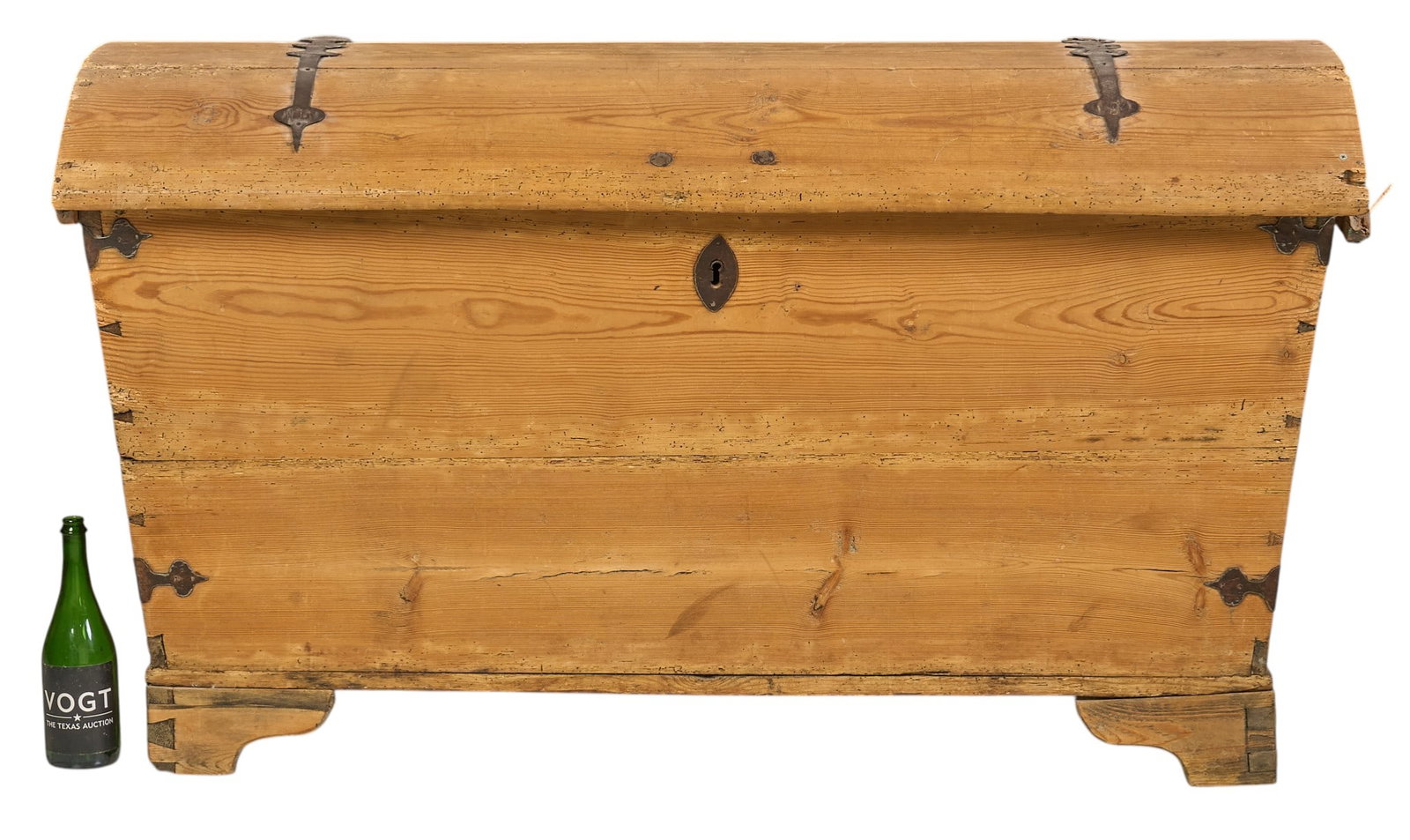 Large Domed Pine Trunk - 2