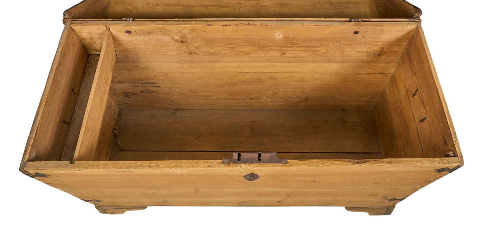 Large Domed Pine Trunk - 3