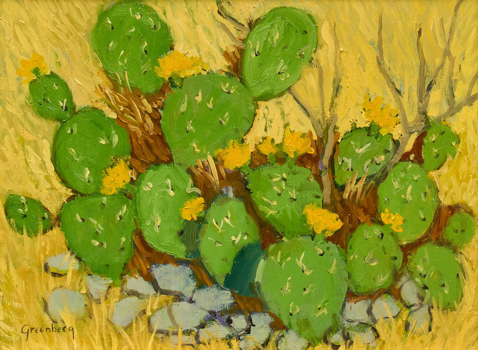Jerry Greenberg, Cactus (1 of 4)