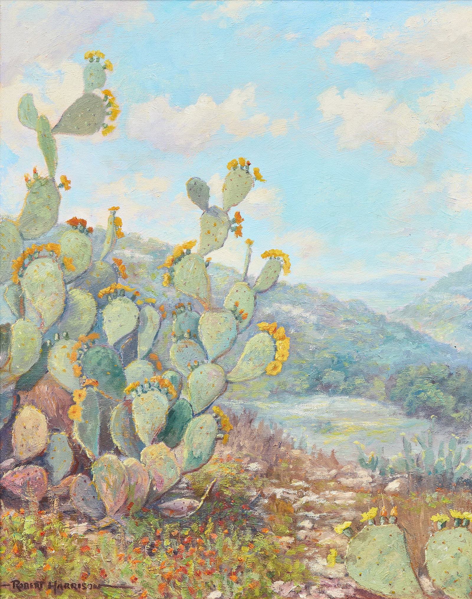 Robert Harrison, "Texas Cactus"