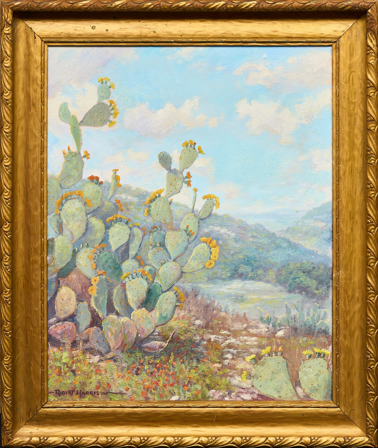 Robert Harrison, "Texas Cactus" - 2