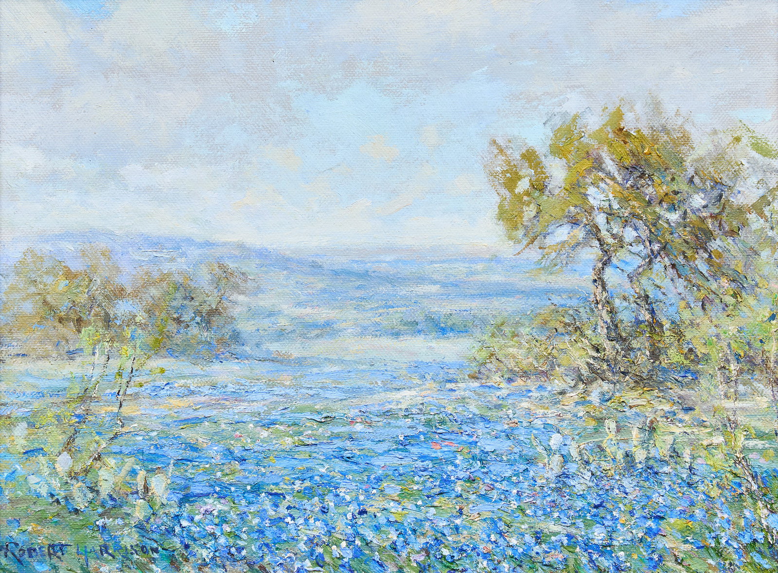 Robert Harrison, "Bluebonnets Near Wimberley": Robert Harrison (Texas, b. 1949), &q