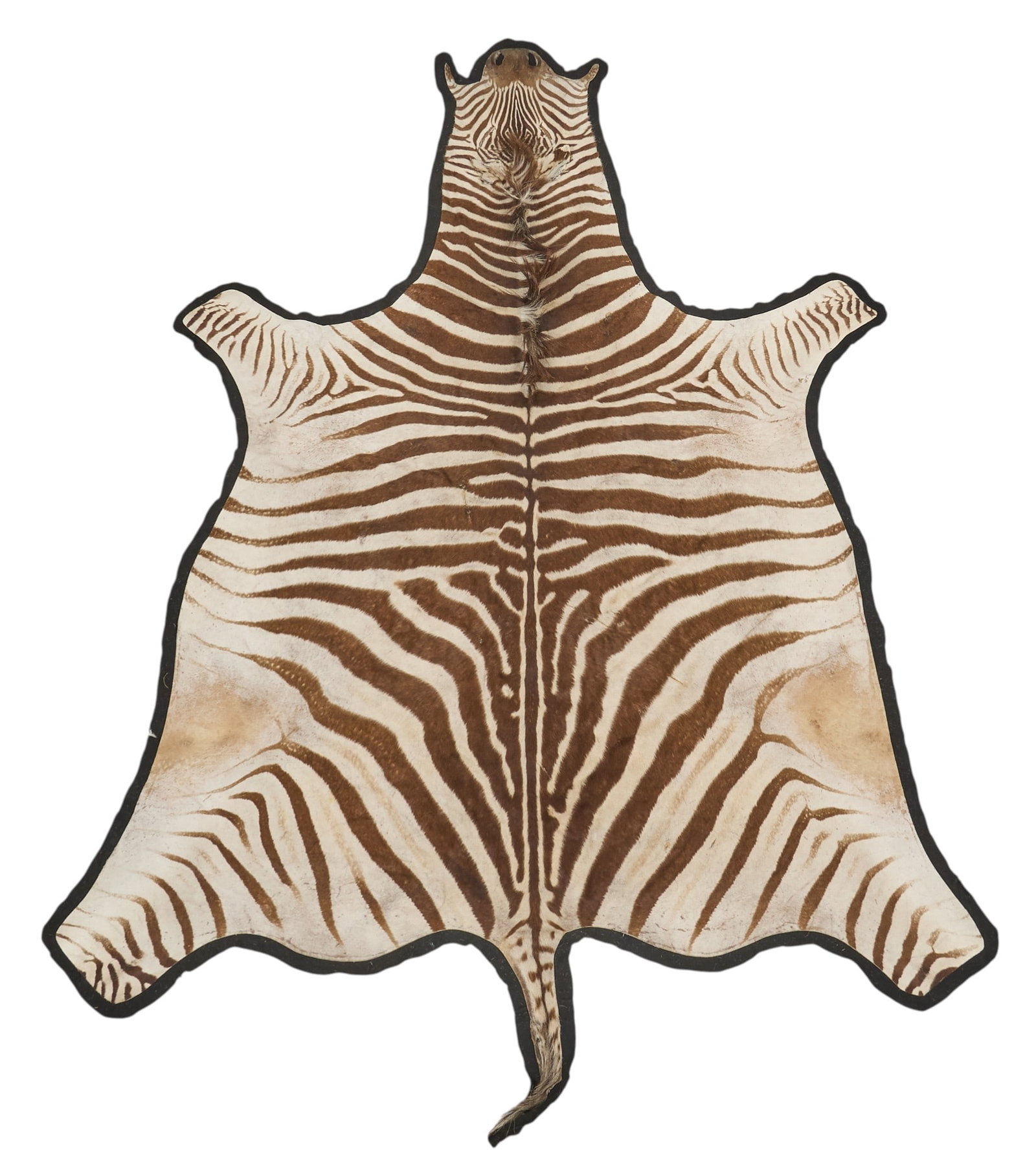 Brown Zebra Rug: Brown zebra hide rug with black felt backing 10 ft. x 6 ft. 6 in. Provenance: Property from a home in San Antonio, Texas 