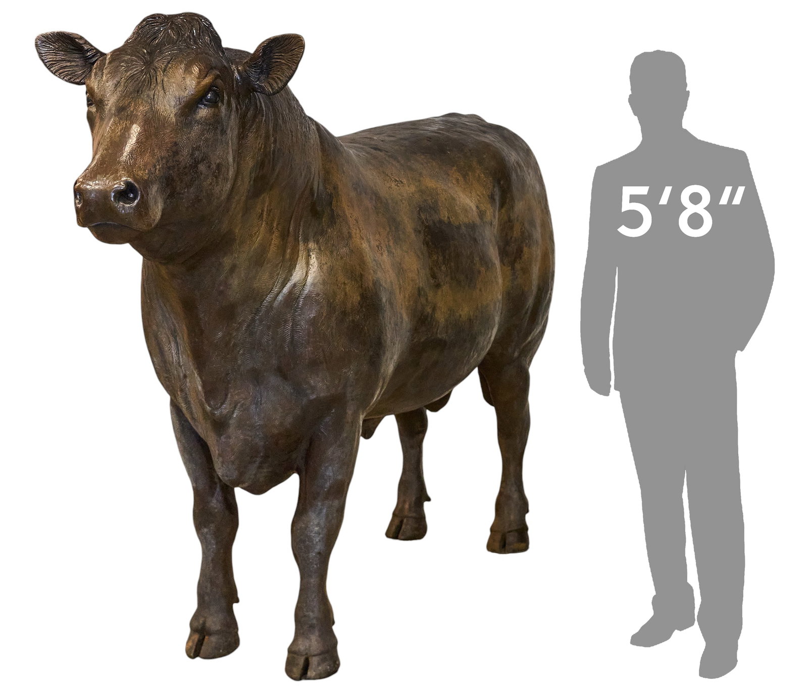 Dr. Robert Taylor, Life-Sized Limousin Bull: Dr. Robert Taylor (Colorado / Texas, 1951-2024), life-size bronze sculpture depicting Limousin bull, artist-cast bronze, appears not marked, freestanding height 73 in. x width 122 in. x depth 32 in. P