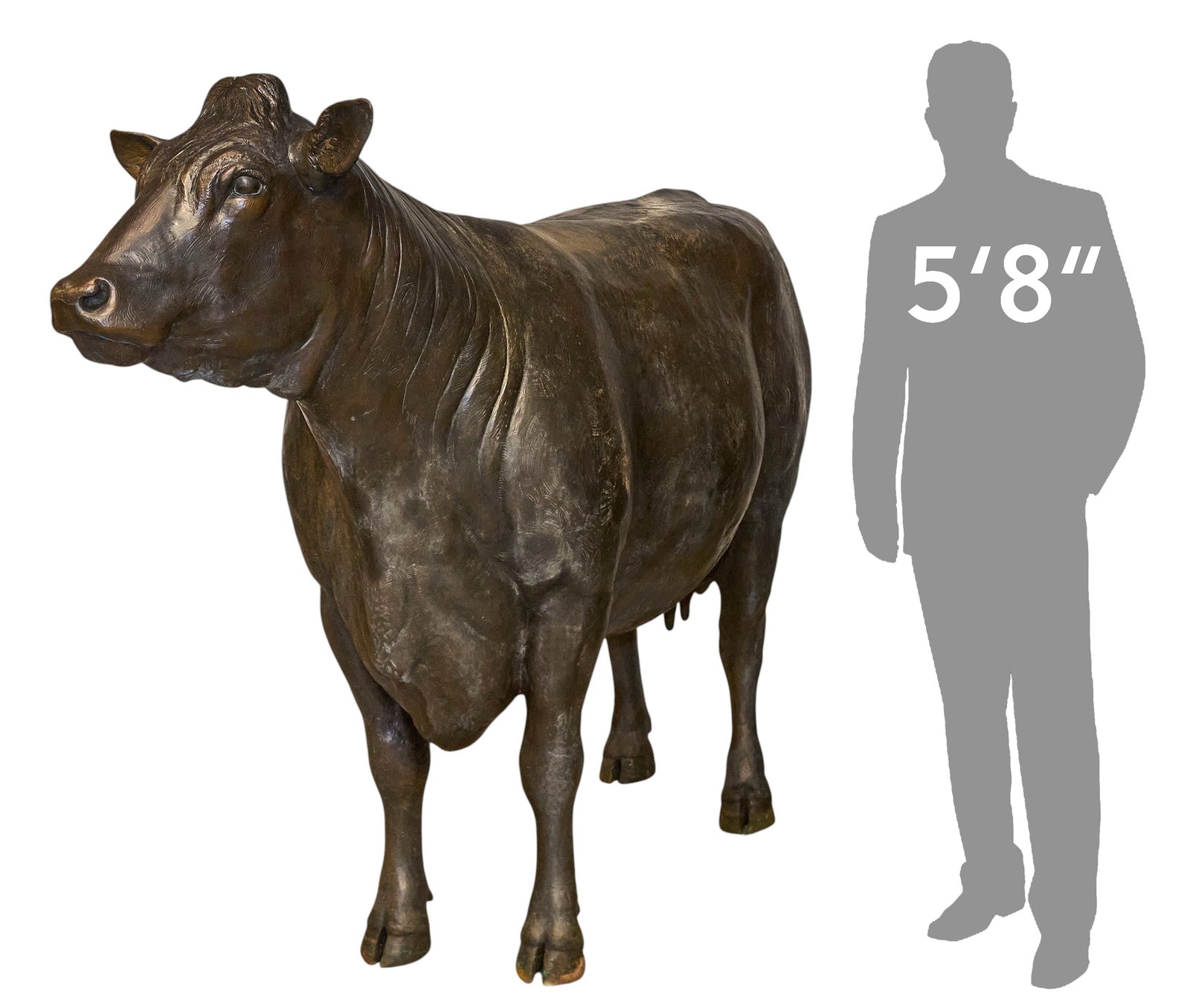 Dr. Robert Taylor, Life-Sized Limousin Cow: Dr. Robert Taylor (Colorado / Texas, 1951-2024), life-size bronze sculpture depicting Limousin cow, artist-cast bronze, appears not marked, freestanding height 67.5 in. x length 100 in. x width 29