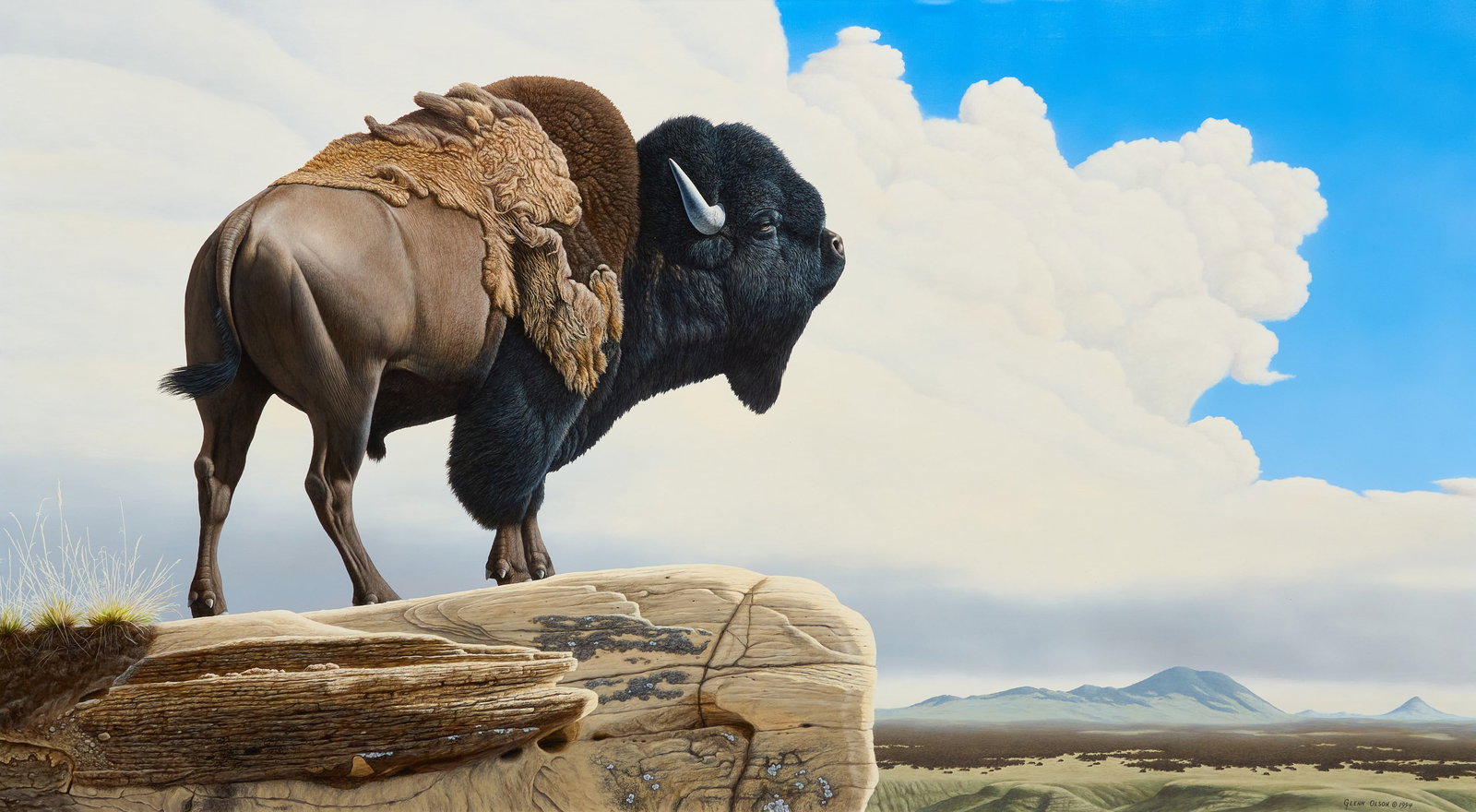 Glenn Olson, "Great Plains Patriarch": Glenn Olson (Canada, b. 1945), "Great Plains Patriarch", acrylic on canvas, signed and dated lower right, 1994 sight: 27 x 50 in., frame: 40.5 x 62.5 in. Provenance: Property from 