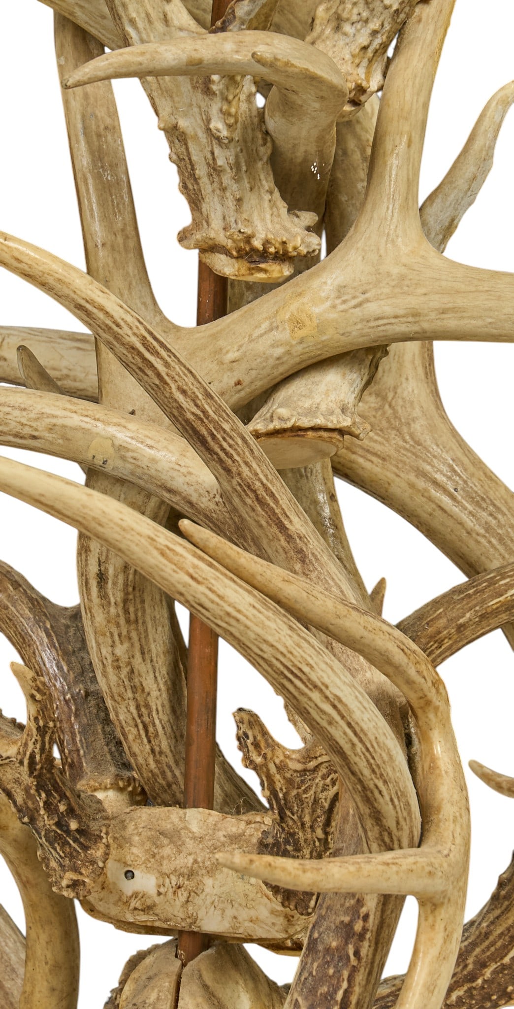 Rustic Antler Floor Lamp - 3
