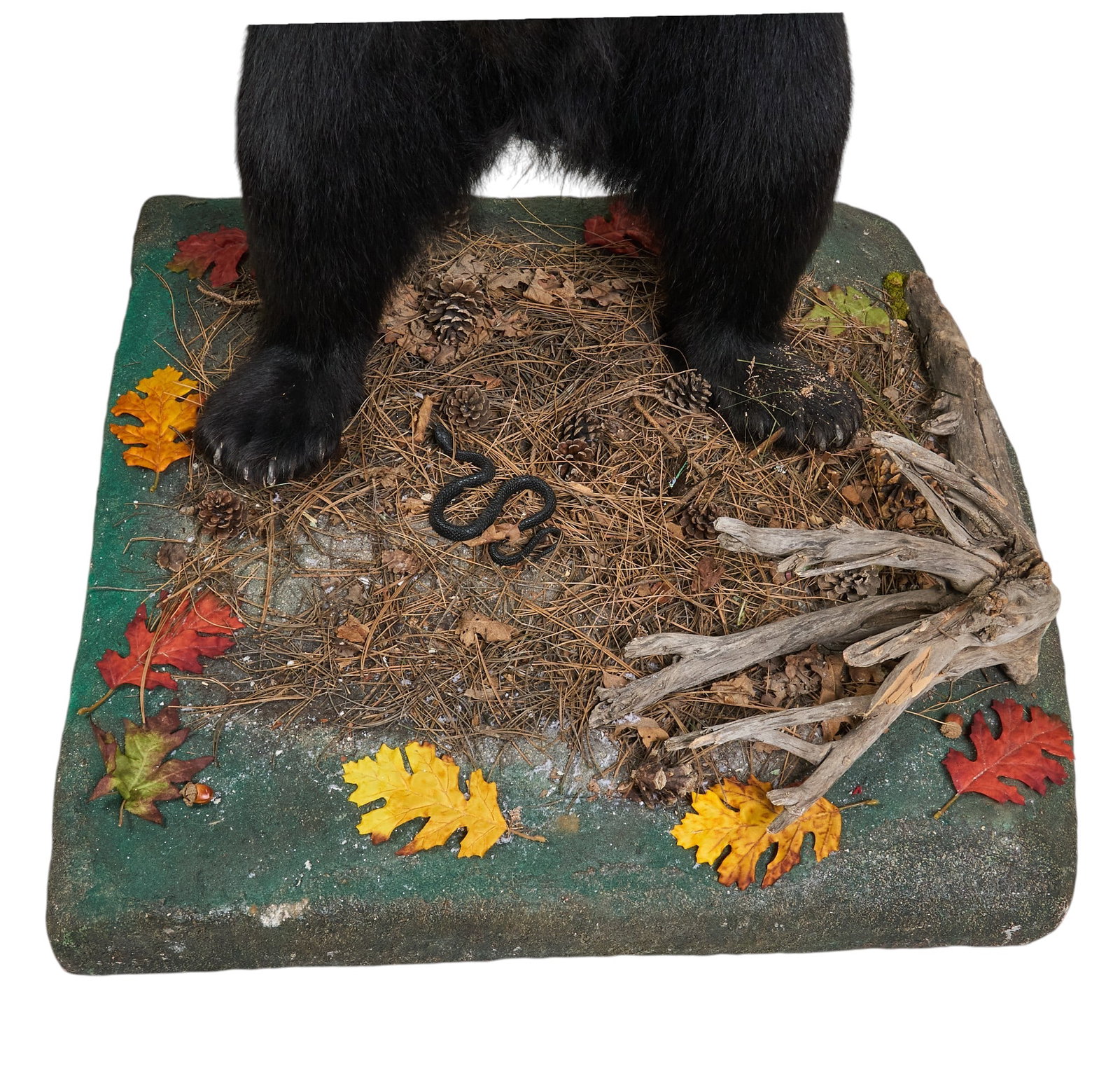 Black Bear Full Body Mount - 3