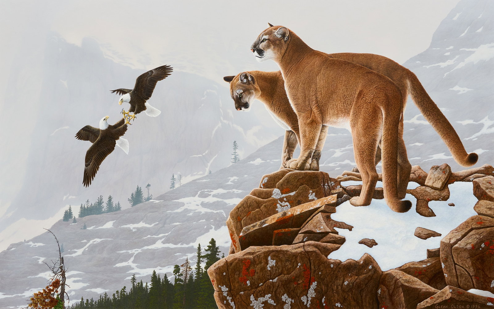 Glenn Olson, "High Country Courtin'": Glenn Olson (Canada, b. 1945), "High Country Courtin’", view of cougars and bald eagles, acrylic on panel, signed and dated lower right, 1996 sight: 26 x 41., frame: 37.5 x