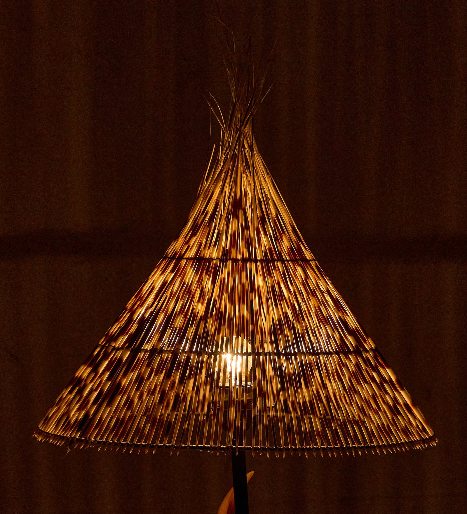 Porcupine Quill Table Lamp: Table lamp with a conical shade constructed of porcupine quills, supported on a twisted horn base, in working condition height 49 in. x diameter 19 in. Provenance: Property from the Est