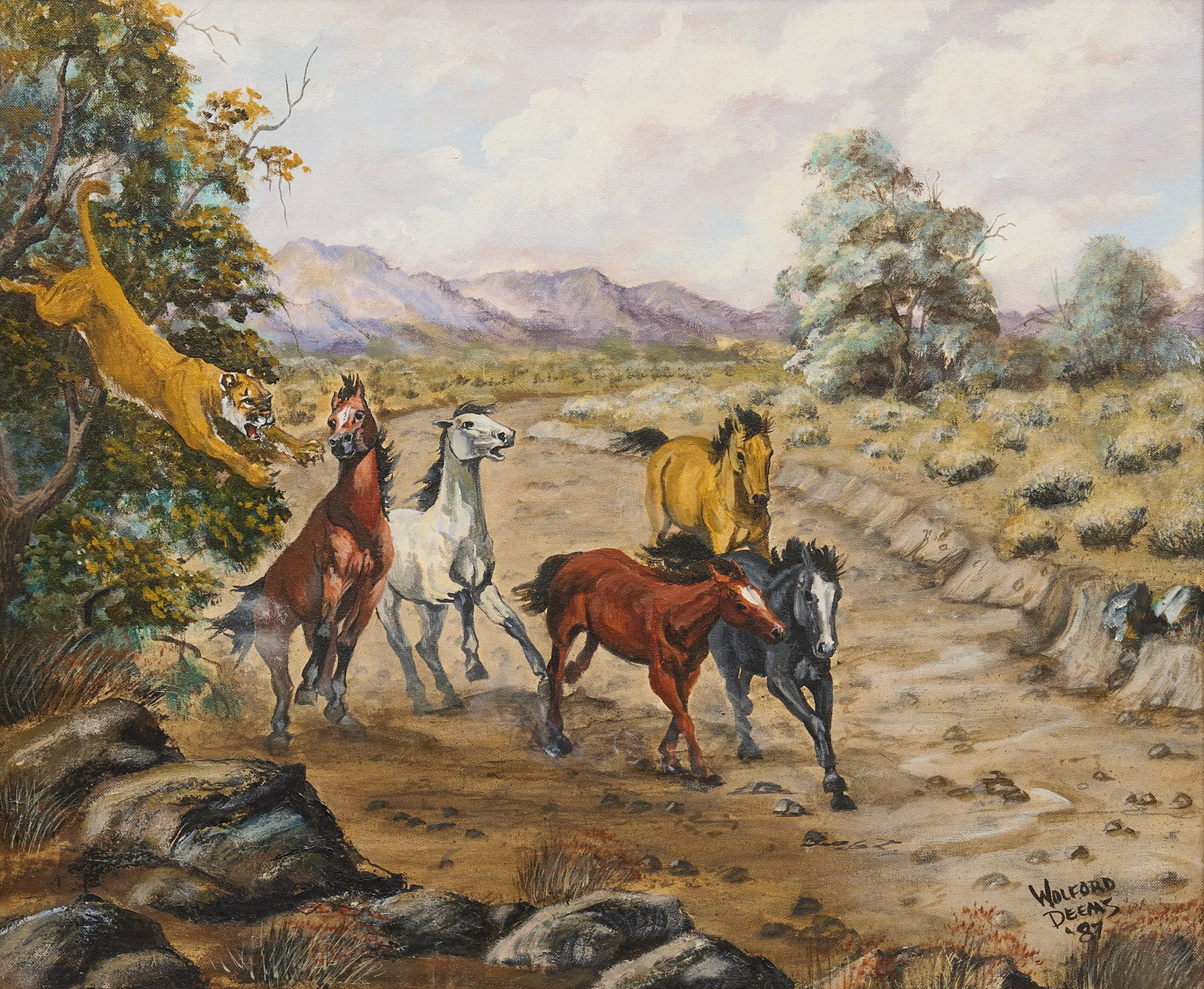Judy Deems, Mountain Lion Attack: Judy Wolford Deems (Amer., 20th-21st C.), scene of mountain lion jumping from treeline and attacking horses, oil on canvas, signed lower right, dated 1987 sight: 20 x 24 in., frame: 27