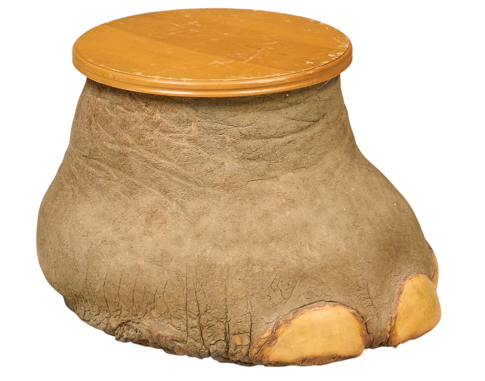 Elephant Foot Plant Stand: Elephant foot taxidermy plant stand height 14 in. x width 21 in. x depth 18 in. Provenance: Property from the Estate of Robert A. "Bob" Funk Sr. - trailblazing American businessman,