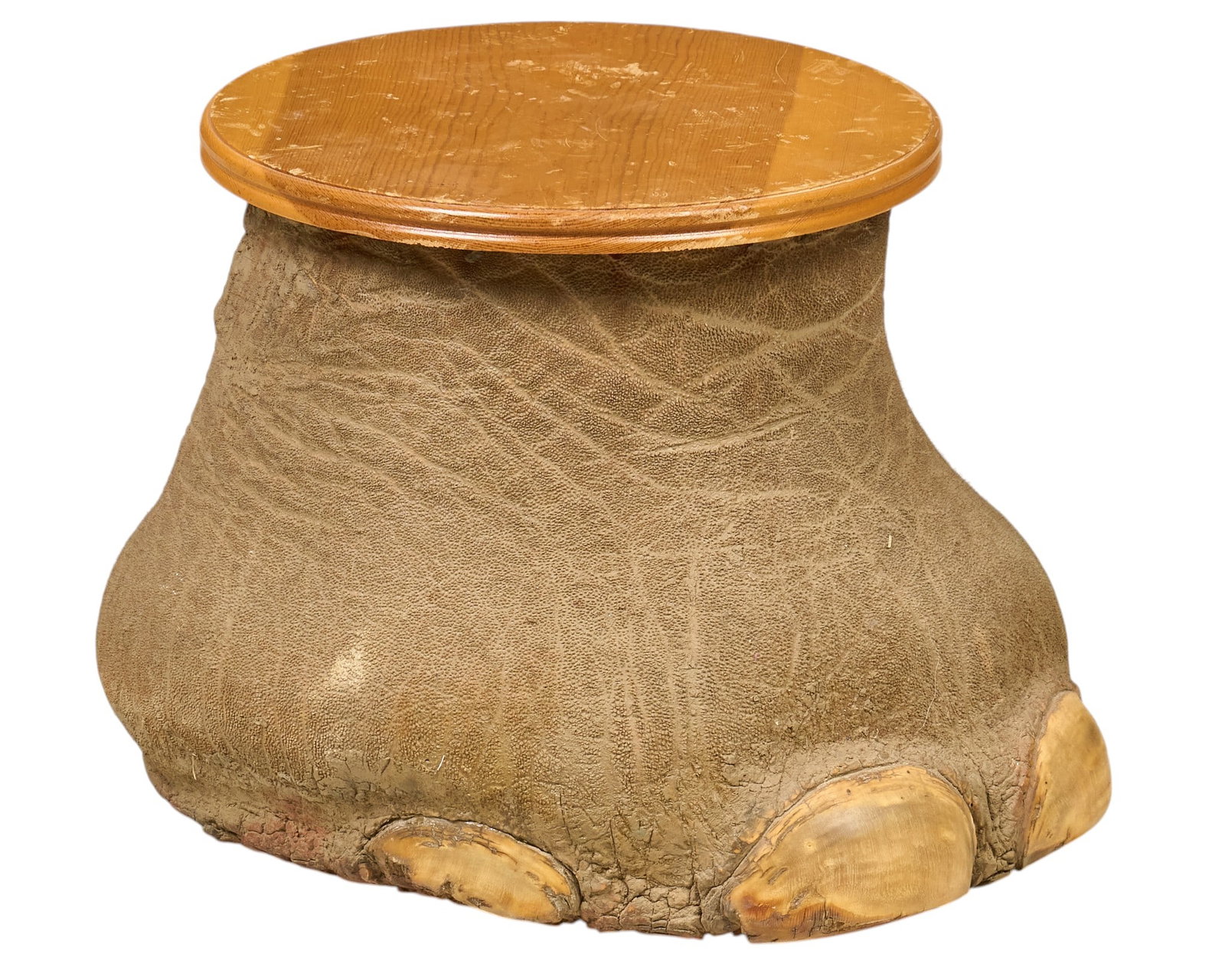 Elephant Foot Plant Stand: Elephant foot taxidermy plant stand height 14 in. x width 17 in. x depth 18 in. Provenance: Property from the Estate of Robert A. "Bob" Funk Sr. - trailblazing American businessman,