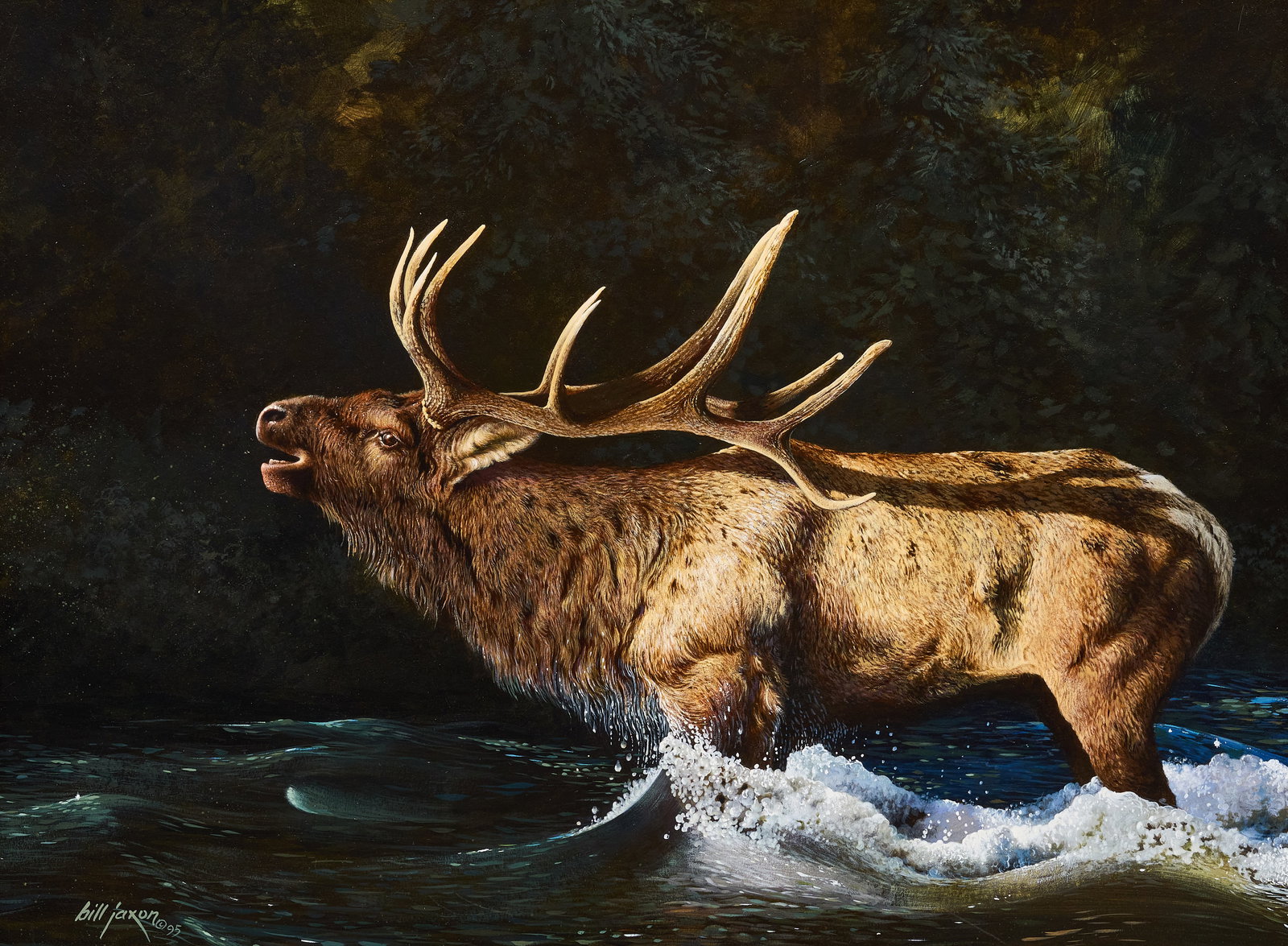 Bill Jaxon, "Up a Creek" (1 of 5)