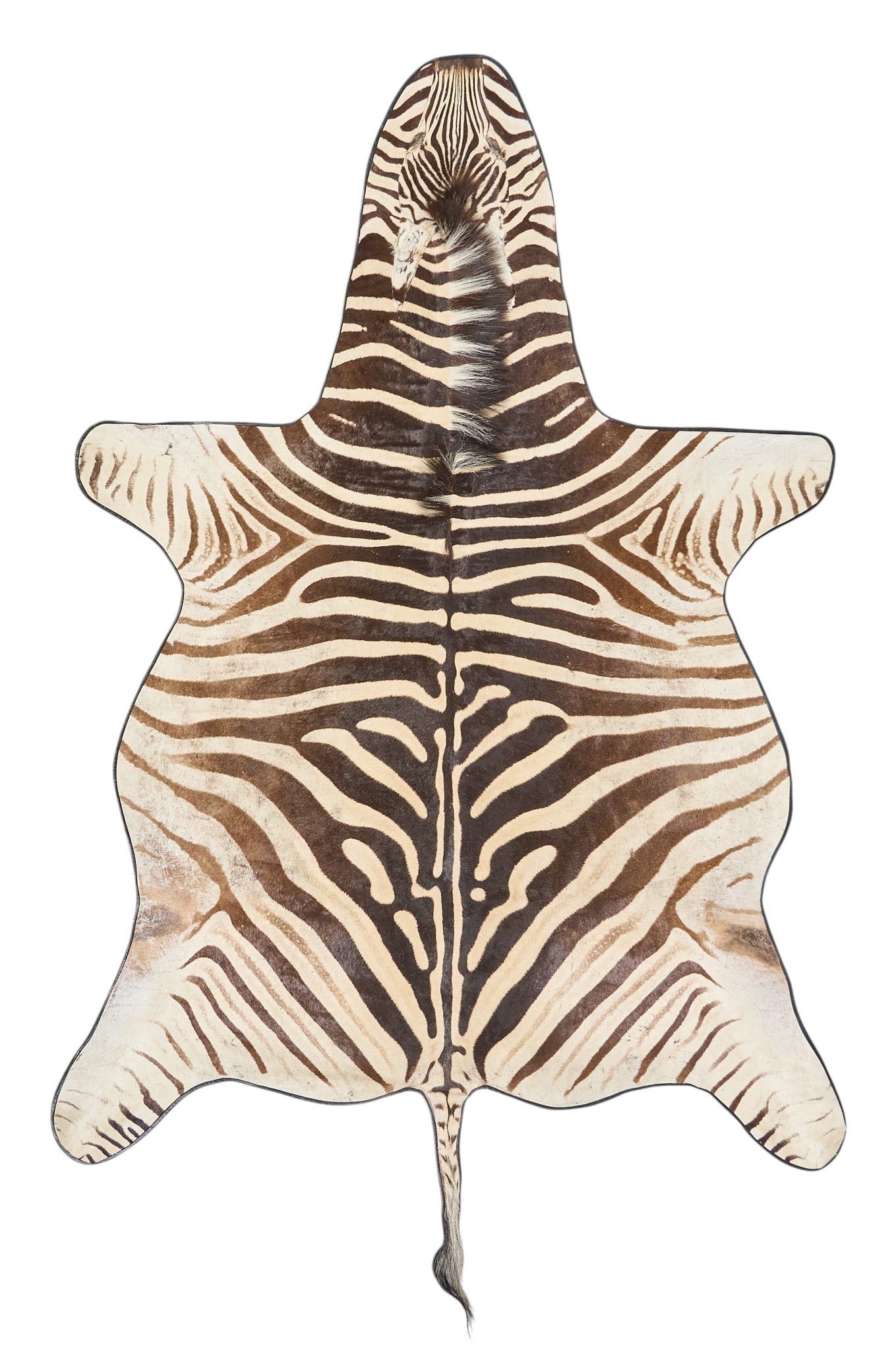 Zebra Hide Rug, 9 ft 11 in. x 6 ft (1 of 4)