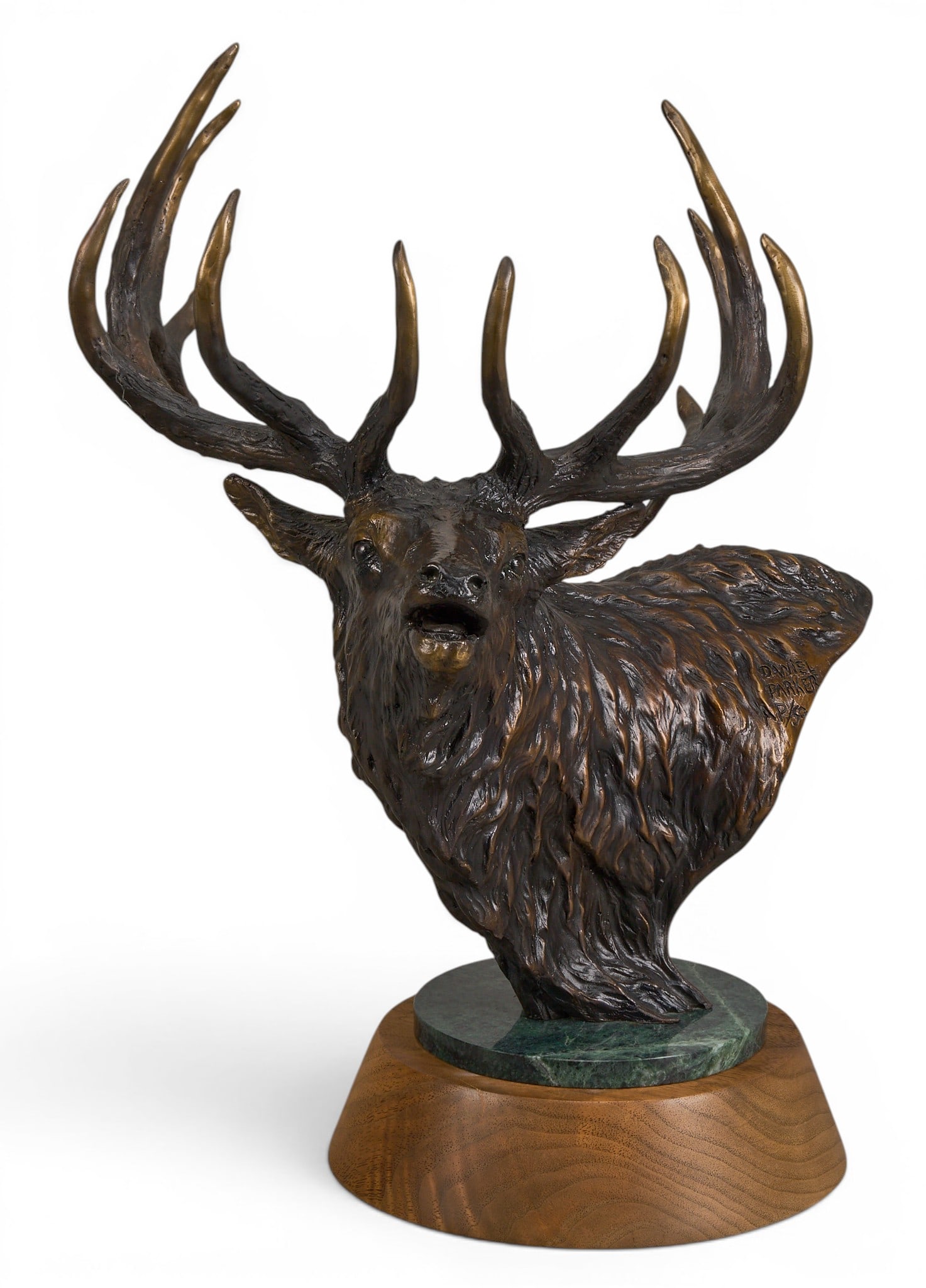 Daniel Parker, Elk Bronze: Daniel Ray Parker (Amer., b. 1959), bugling bull elk bust, artist-cast bronze sculpture on stone and wooden base, incised signature and edition number AP /50 height 14 in. x width 11 in. x depth