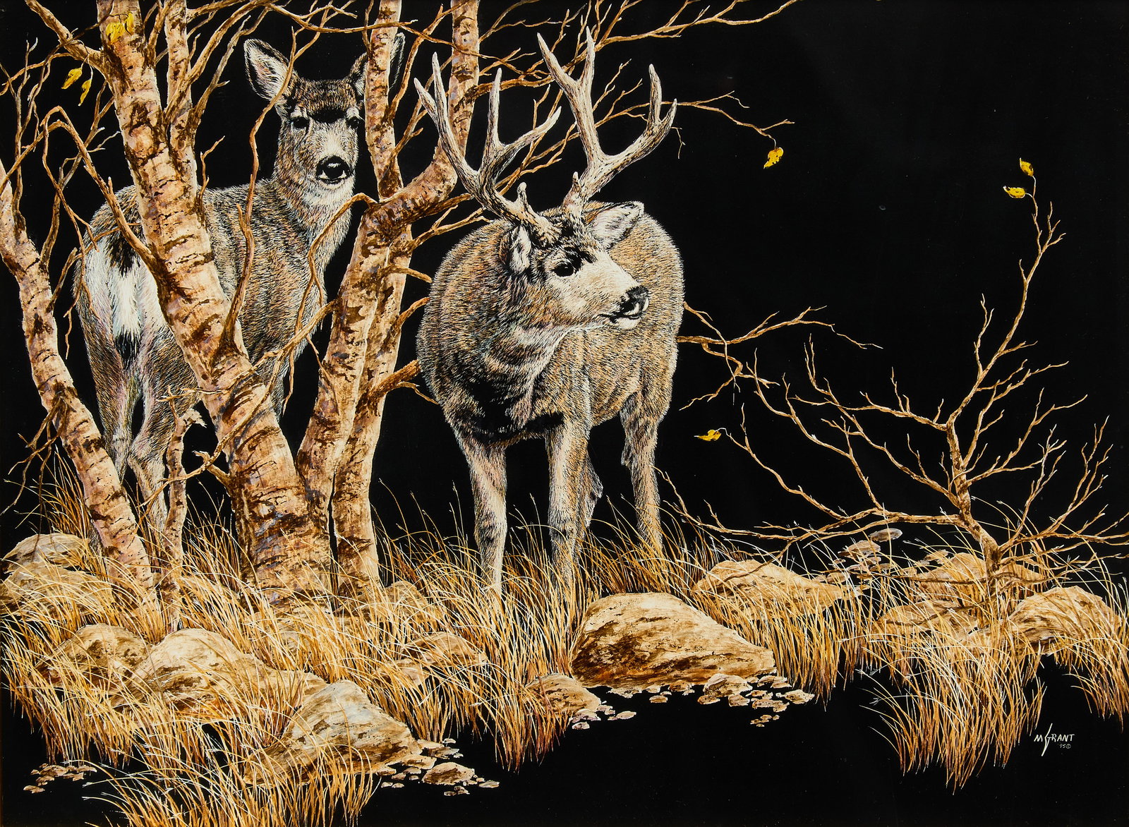 Mimi Grant, "Changes in the Wind": Mimi Grant (Amer., b. 20th Century), "Changes in the Wind", scratchboard drawing of deer, signed lower right sight: 13 x 17 in., frame: 22 x 26 in. Provenance: Property from the Es
