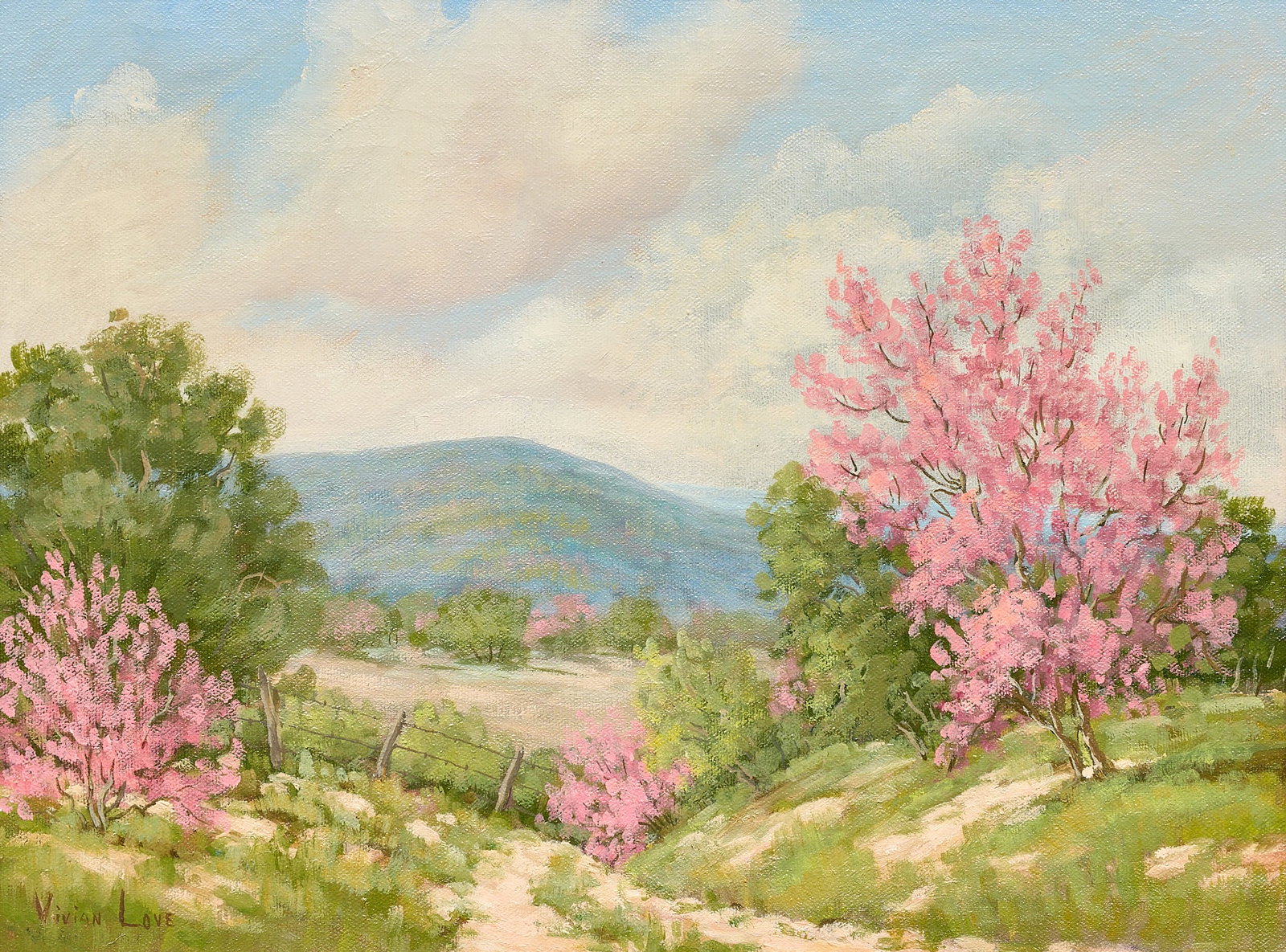 Vivian Love, Redbud Landscape (1 of 4)