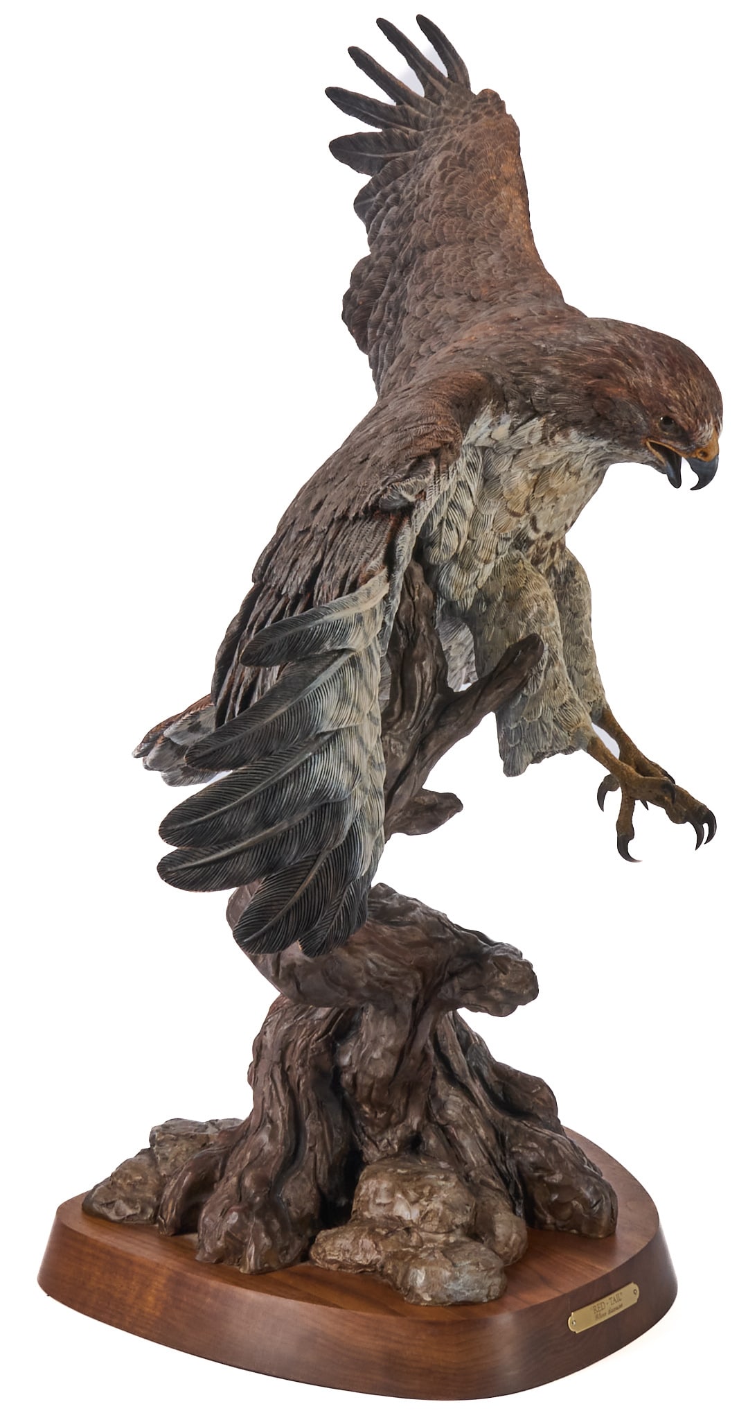 Glenn Swanson, "Red-Tail": Glenn Swanson (Amer., b. 1951), "Red-Tail", artist-cast bronze sculpture on wooden base, cold-painted details, incised signature height 33.5 in. x width 44 in. x depth 17 in. (including
