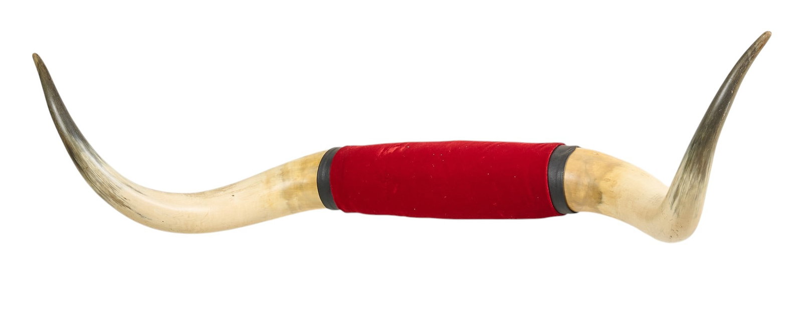 Steer Horn Mount - 2