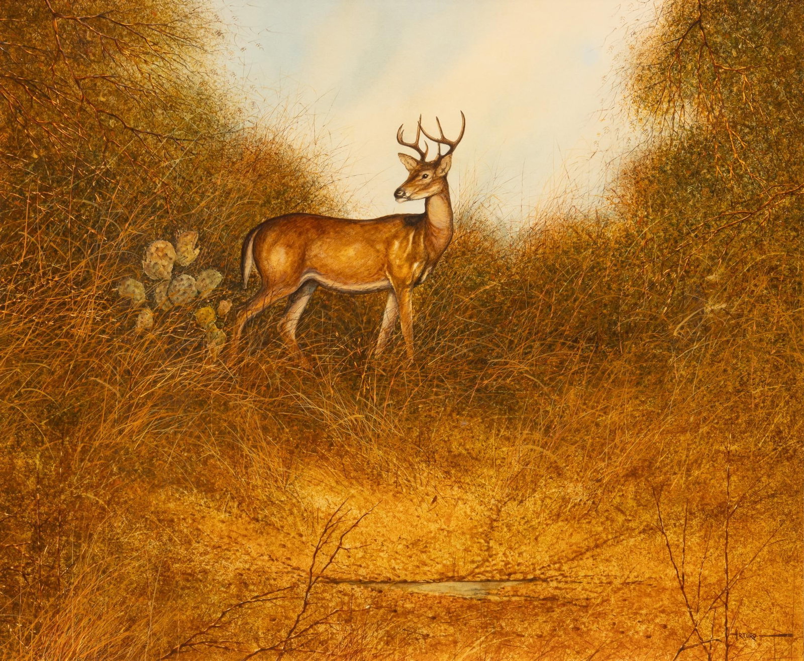 Arturo Mercado, Deer in Clearing: Arturo Mercado (Texas, 1938-2015), whitetail deer in clearing, watercolor on illustration board, signed lower right sight: 21 x 28 in., frame: 30 x 34.5 in. Provenance: Property from a home in San