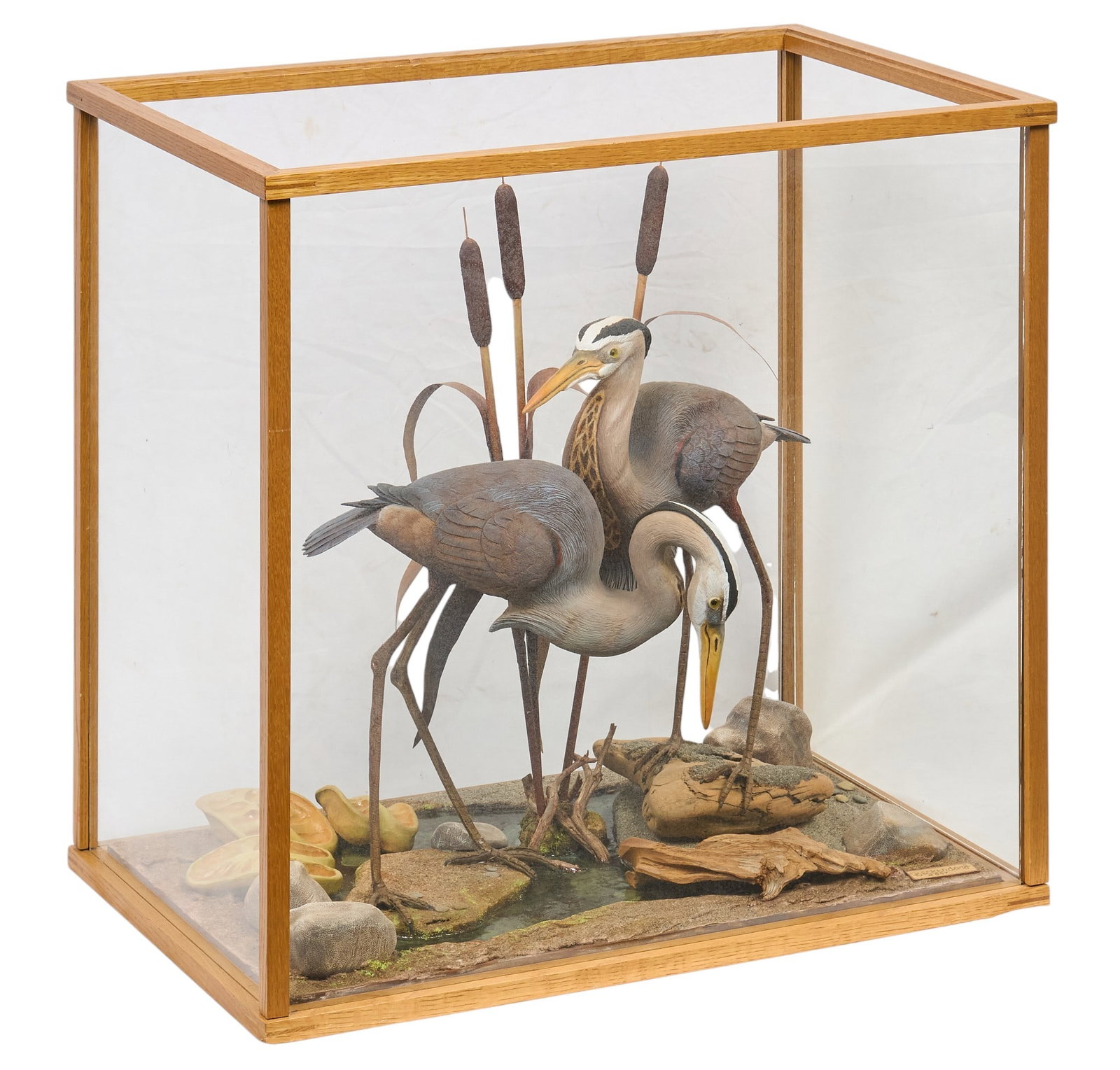 Charles Beckendorf, Carved Great Blue Herons: Charles Beckendorf (Texas 1930-1996), naturalistic and lifelike carved Great Blue Herons diorama in glass display case, with artist's plaque reading "Beckendorf #507, hand carved and pai