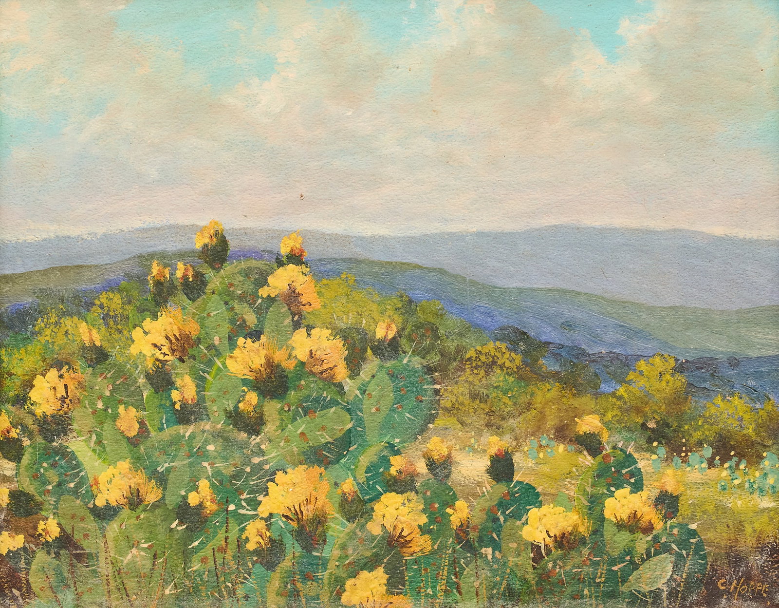 Carl Hoppe, "Cactus & Hills, Boerne, Texas" (1 of 4)