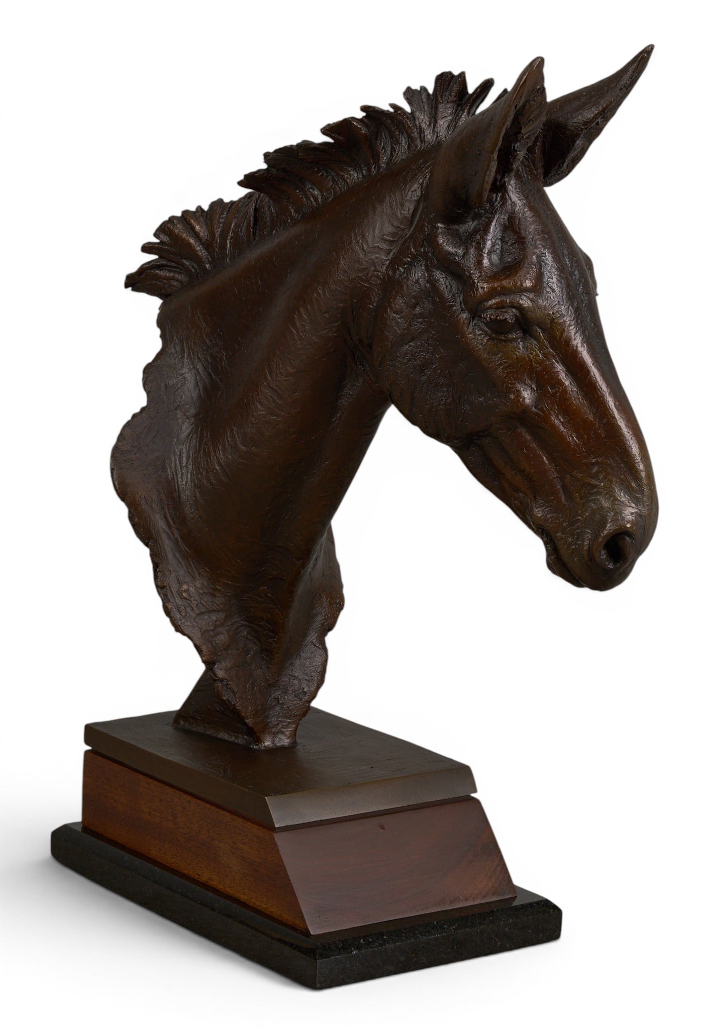 Blair Buswell, Mule Bronze: Blair Buswell (Utah, b. 1956), bust of a mule, artist-cast bronze sculpture on wooden base, incised signature and edition number 10/32 height 17 in. x width 6.5 in. x depth 11.5 in.