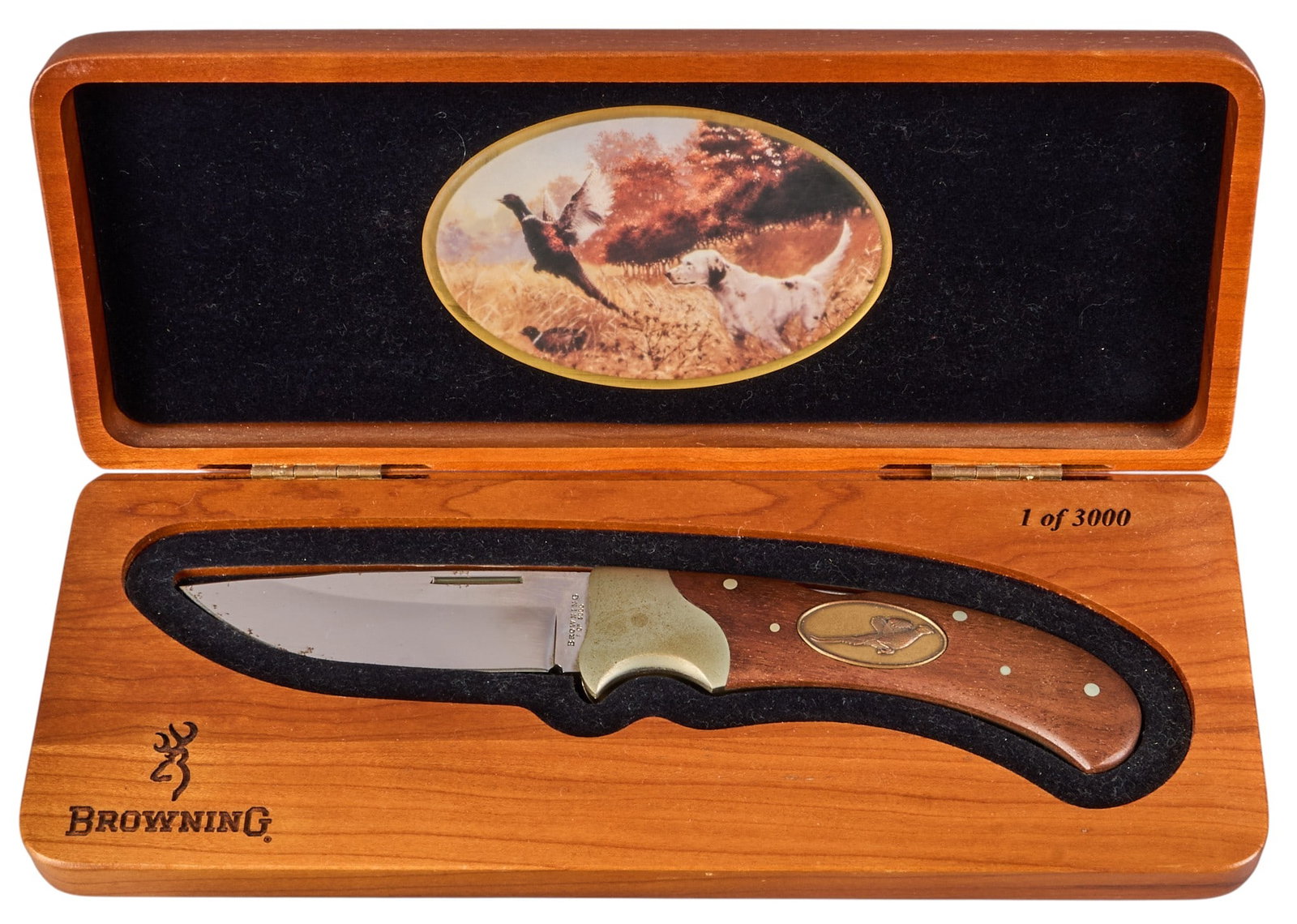 (14) Mixed Knives - 6
