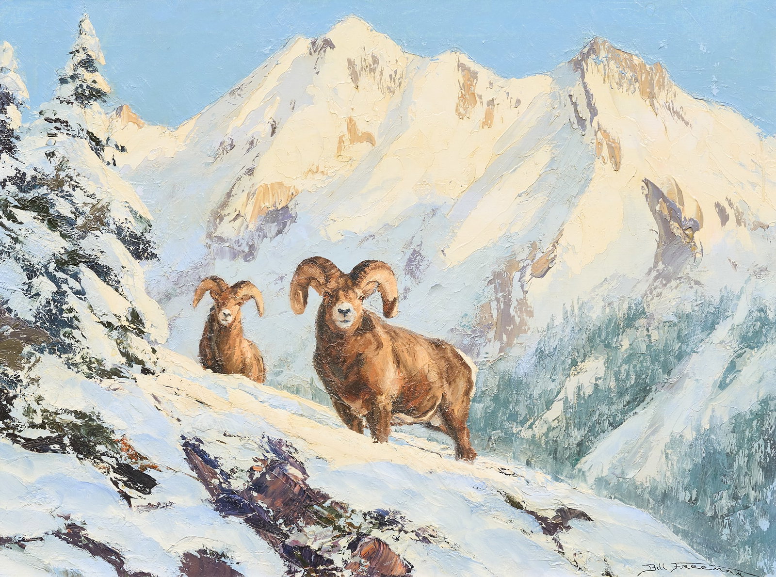Bill Freeman, Bighorn Sheep (1 of 4)