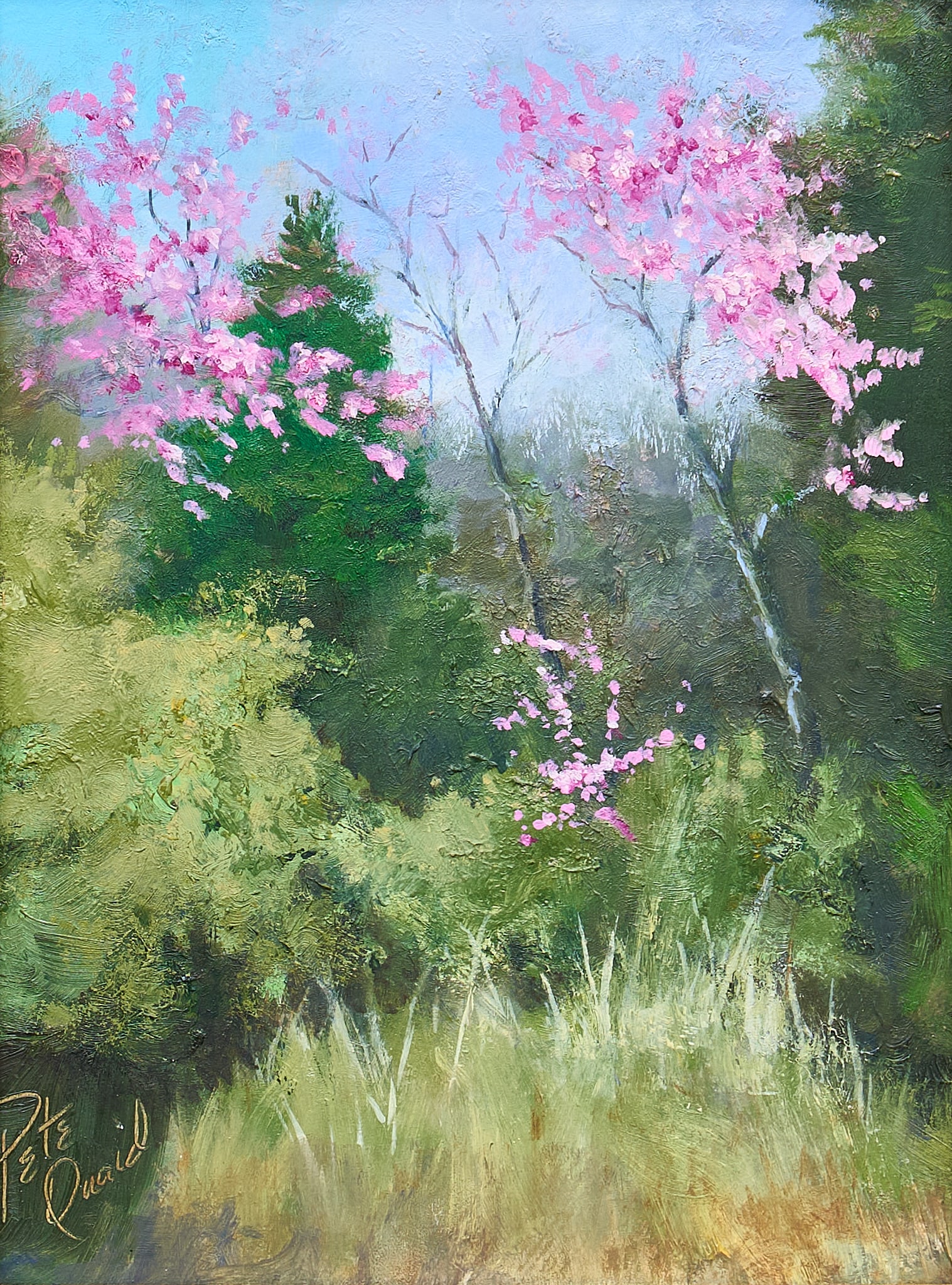 Pete Quaid, "Red Buds" (1 of 5)