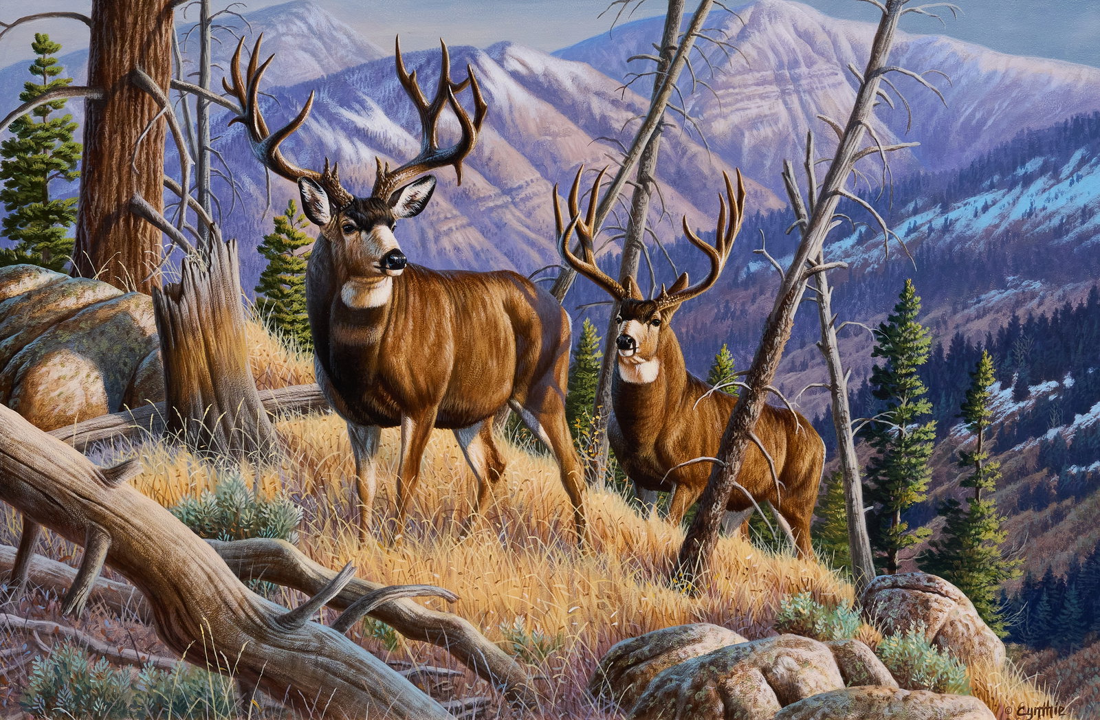 Cynthie Fisher, Bucks in Landscape: Cynthie Fisher (Amer., 20th-21st C.), mountain scene with bucks, acrylic on panel, signed lower right sight: 20 x 30 in., frame: 29 x 38.5 in. Provenance: Property from the Estate of Robert A.