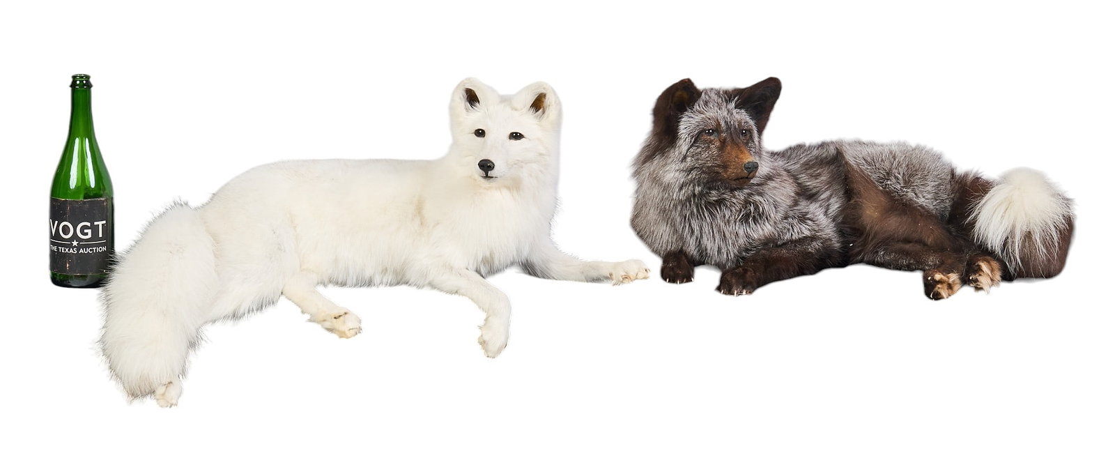 (2) Full Body Fox Mounts - 2