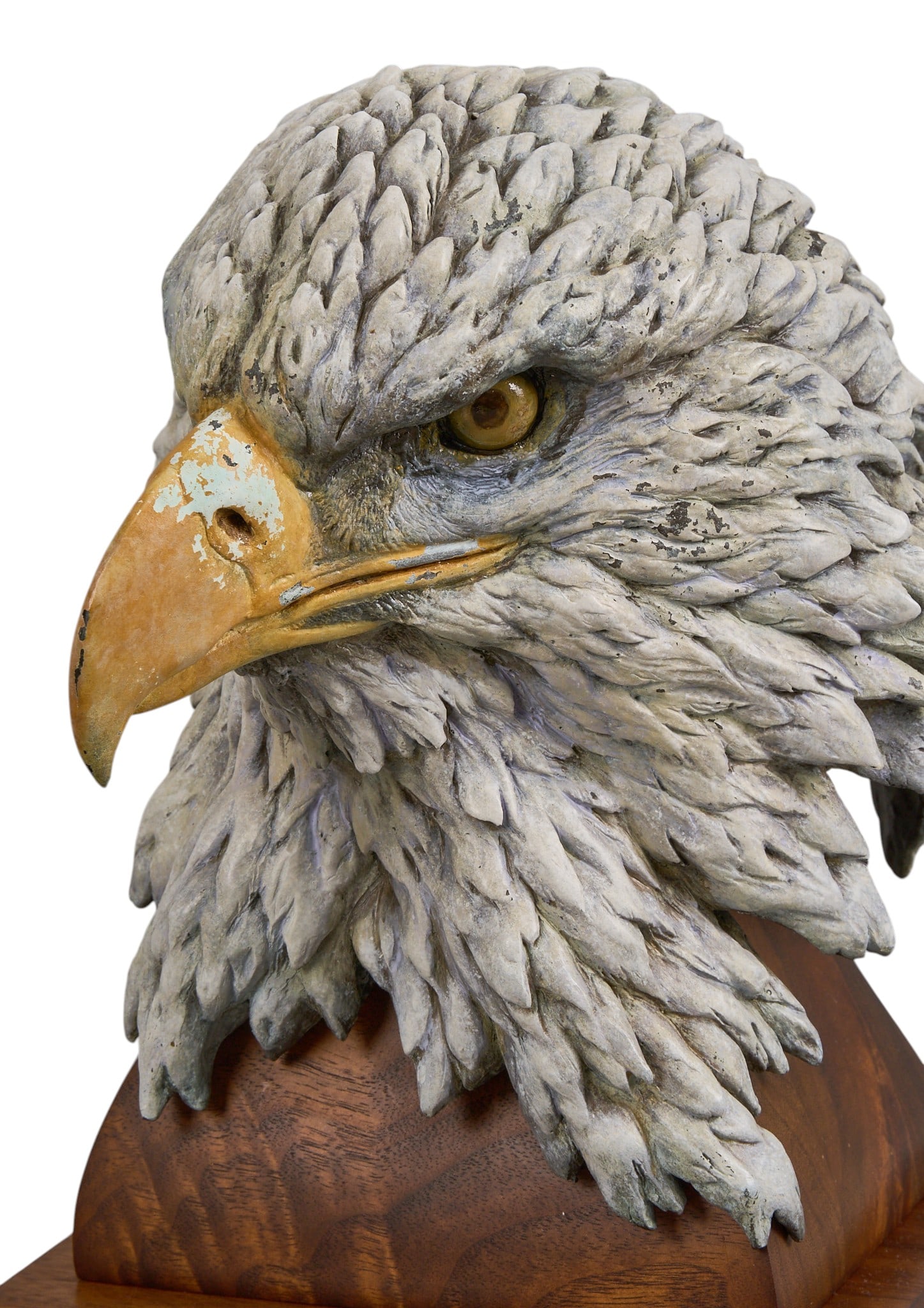 Glenn Swanson, Bald Eagle - 4