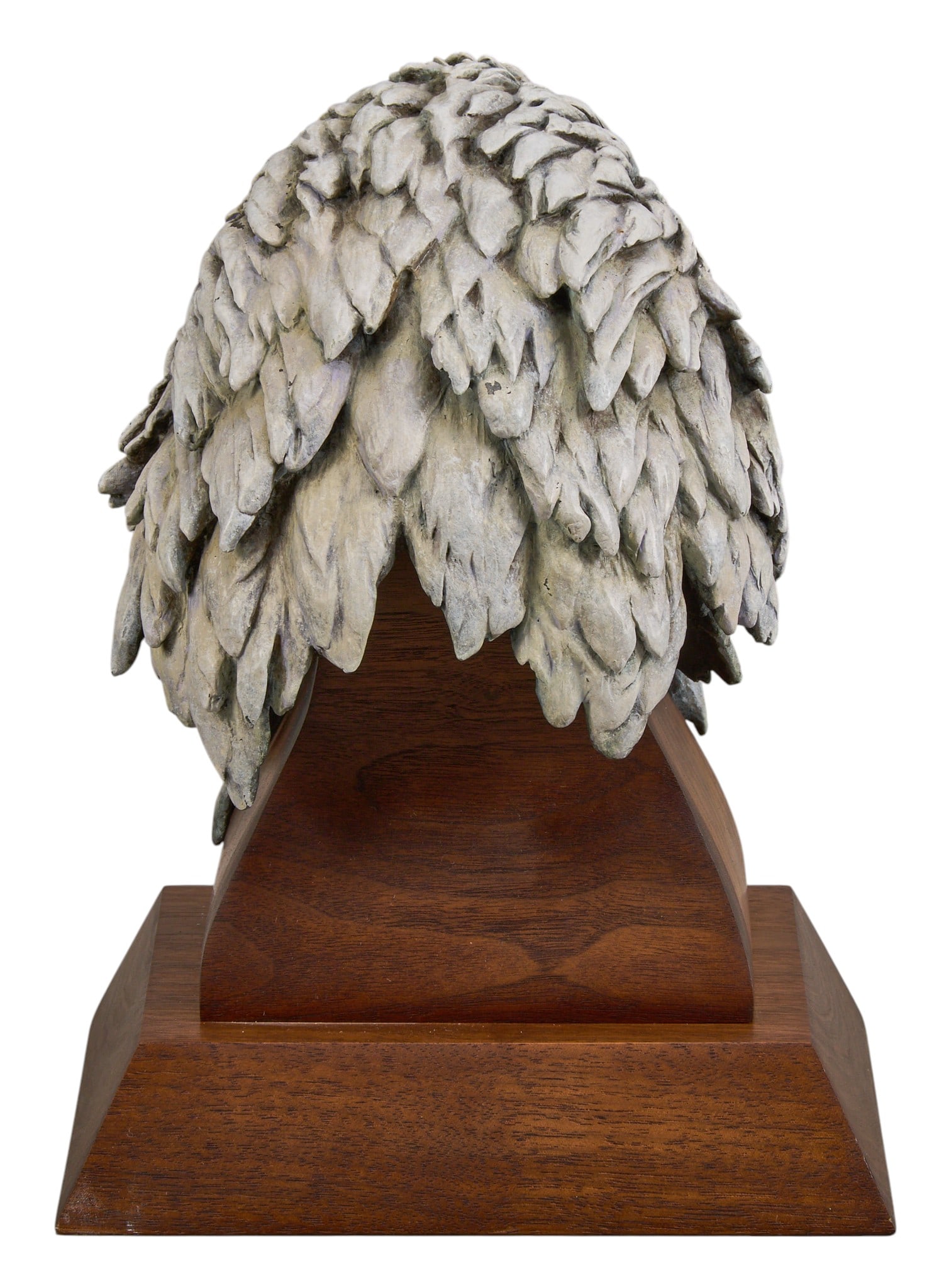 Glenn Swanson, Bald Eagle - 5