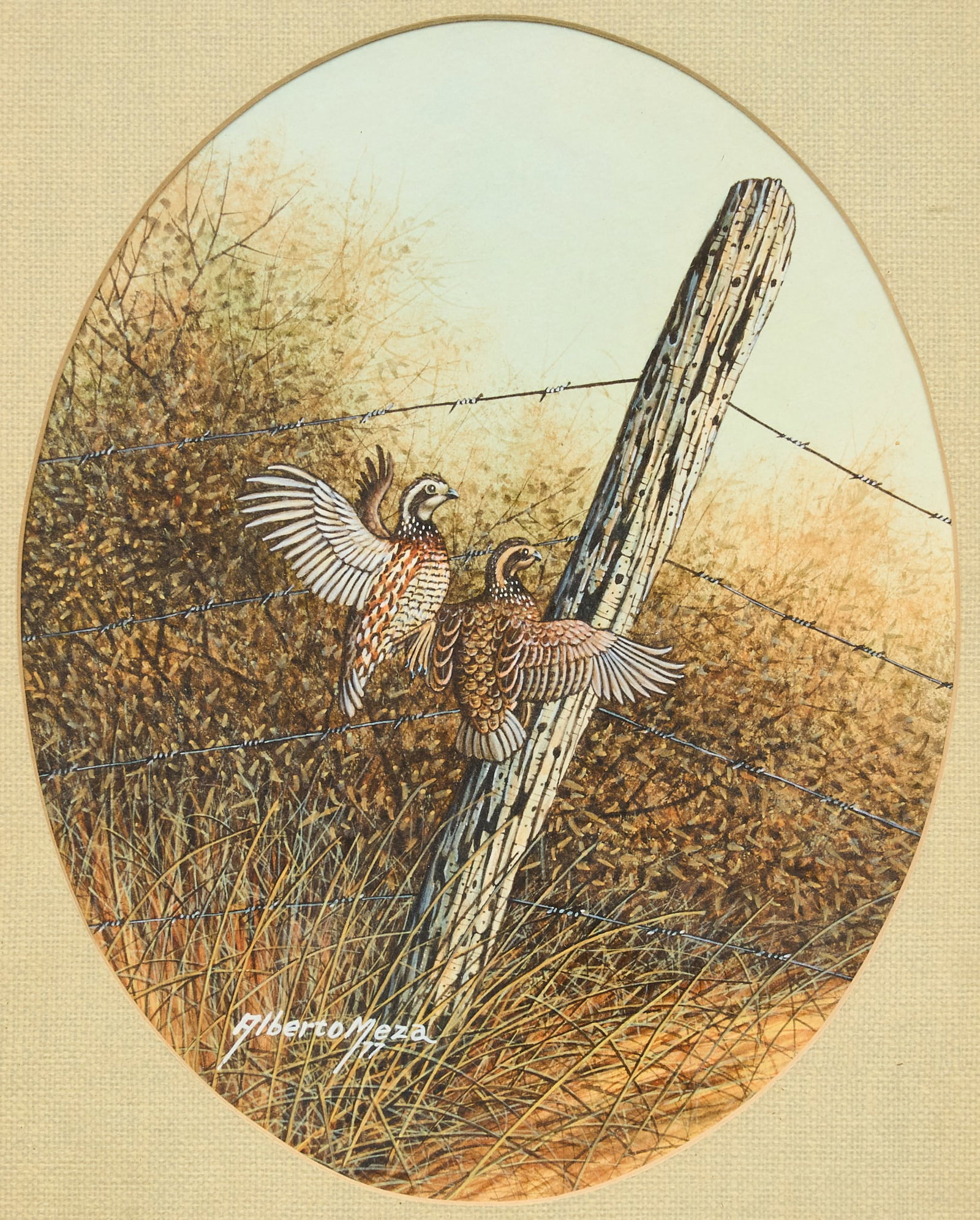 Alberto Meza, Quail and Fencepost, 1977: Alberto Meza (Texas, 20th C.), two quail at a rustic fencepost, watercolor on illustration panel, signed and dated lower left, 1977 sight: 10 x 8 in., frame: 15.5 x 12.5 in. Provenance: Property