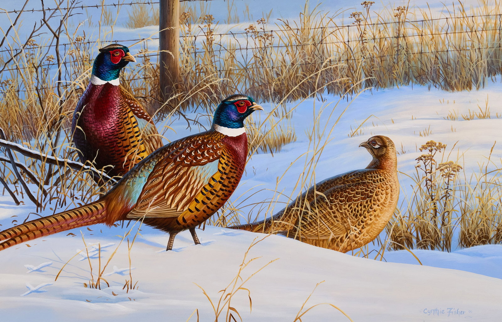 Cynthie Fisher, Pheasants in Snow: Cynthie Fisher (Amer., 20th-21st C.), group of pheasants in snow, acrylic on panel, signed and dated lower right, 1999 sight: 17 x 26 in., frame: 23 x 32 in. Provenance: Property from the Estate of