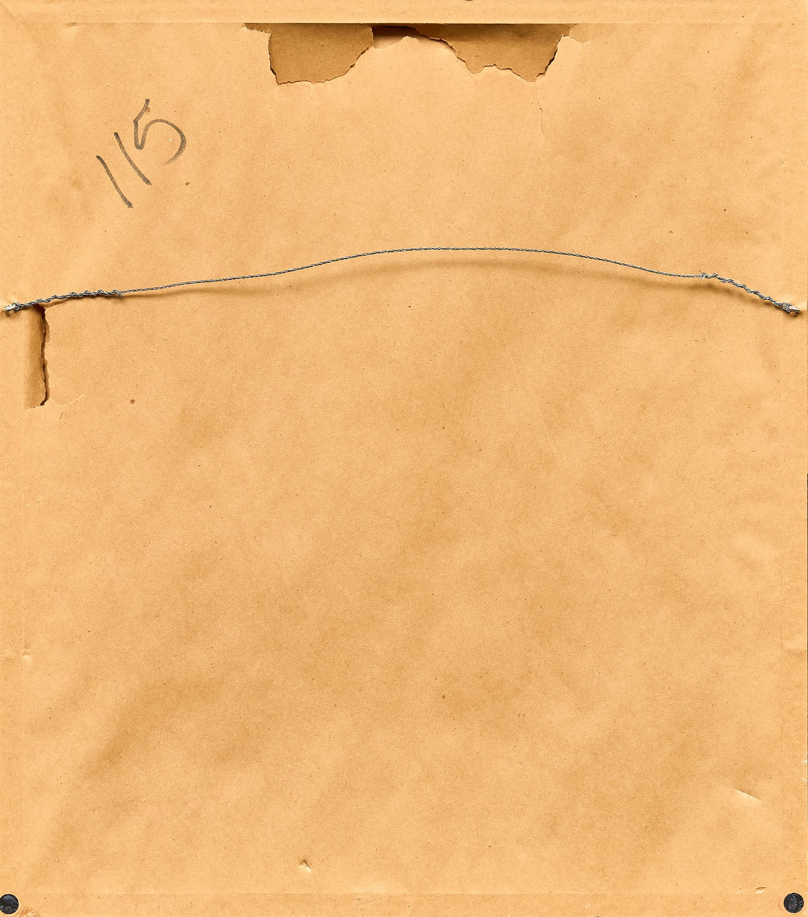 Lee Ricks, Mockingbird on Barbed Wire - 4