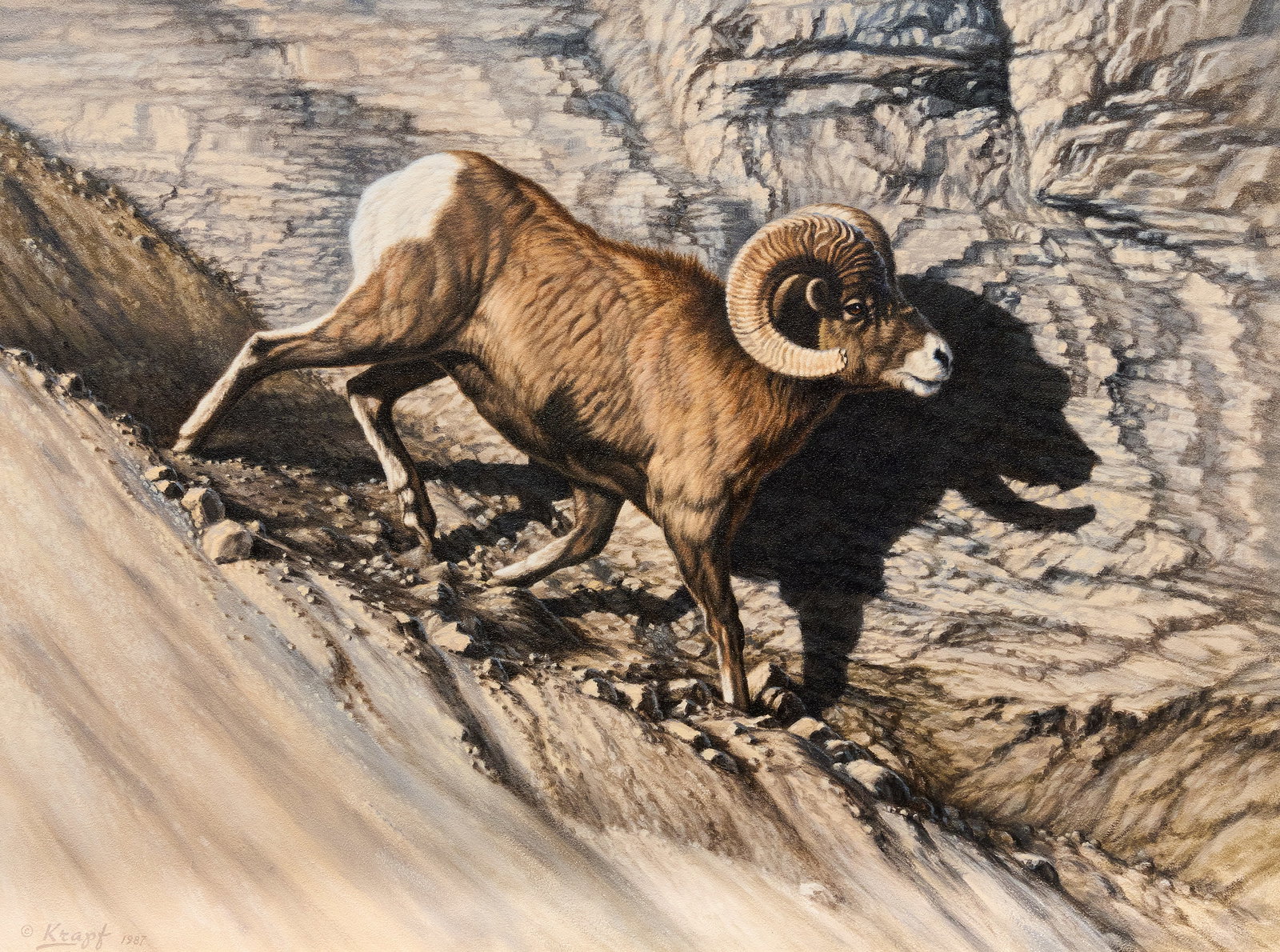Paul Krapf, Bighorn Sheep: Paul Krapf (Amer., 1927-2019), big horn sheep on mountainside, oil on panel, signed and dated lower left, 1987 sight: 18 x 24 in., frame: 23.5 x 29.5 in. Provenance: Property from the Estate of