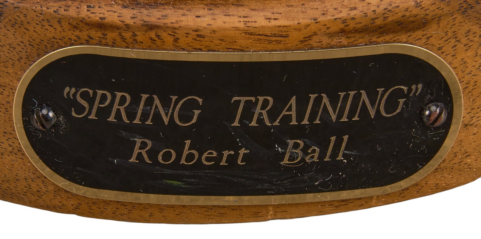 Robert Ball, "Spring Training" - 4