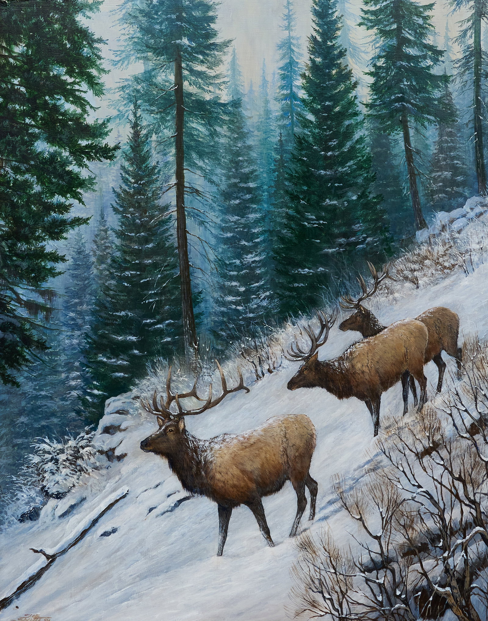 Sue Smith, "Forced Down" (1 of 5)