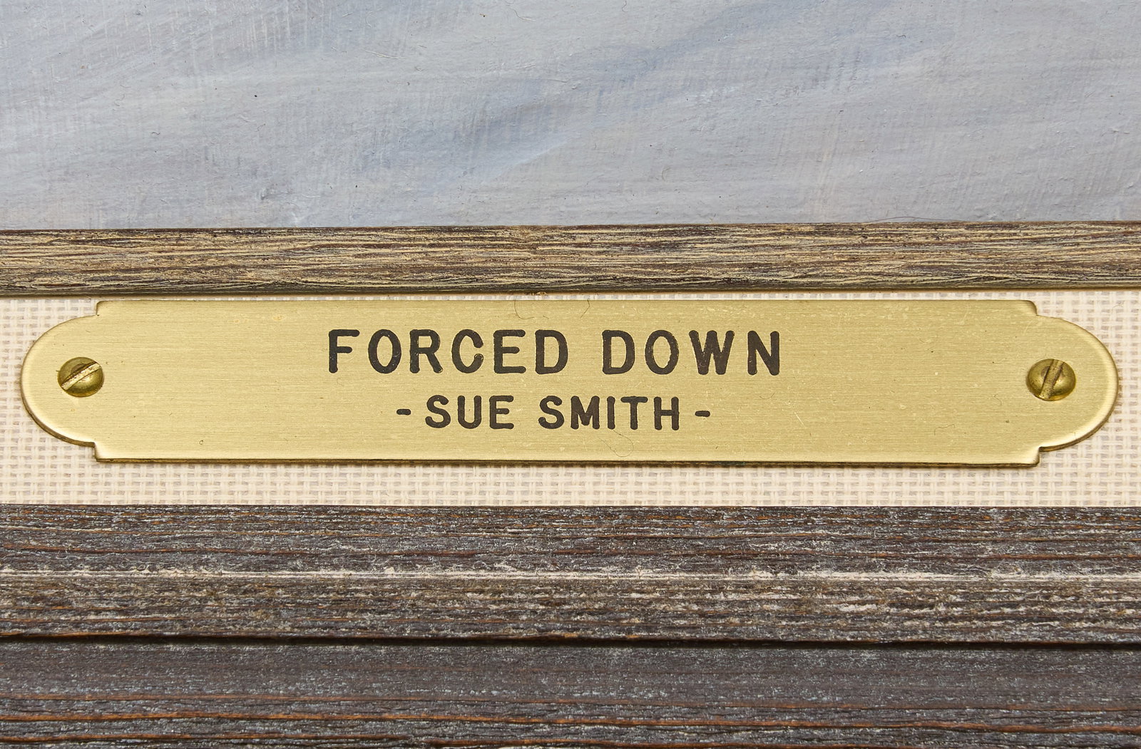 Sue Smith, "Forced Down" - 3