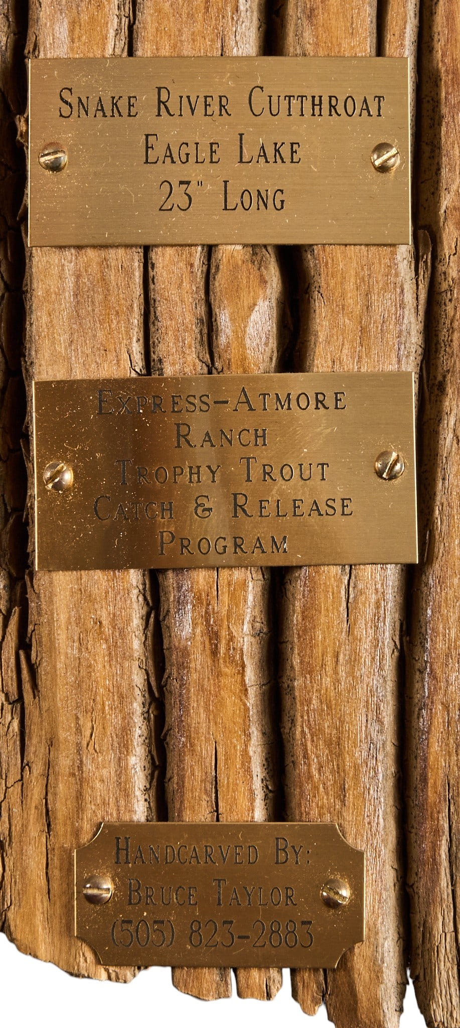 (3) Fish Wall Mounts - 2