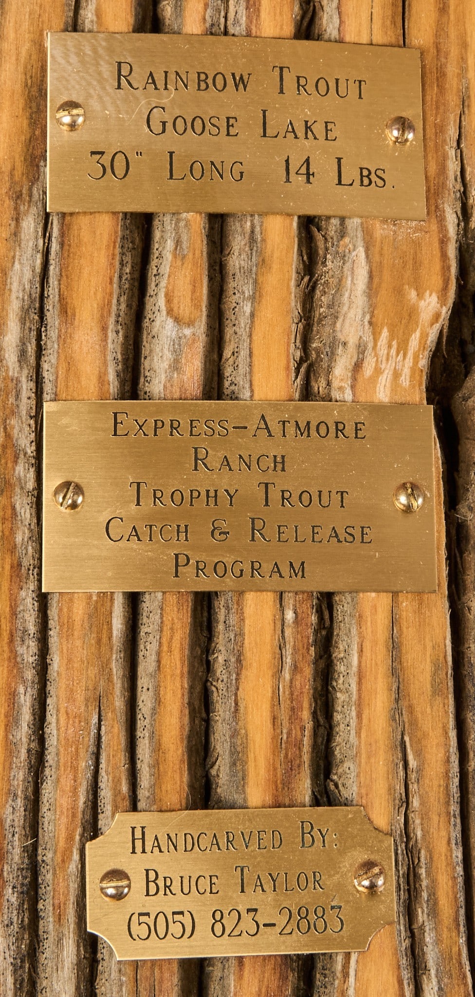 (3) Fish Wall Mounts - 4