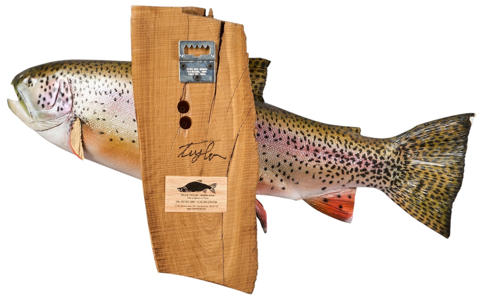 (3) Fish Wall Mounts - 7